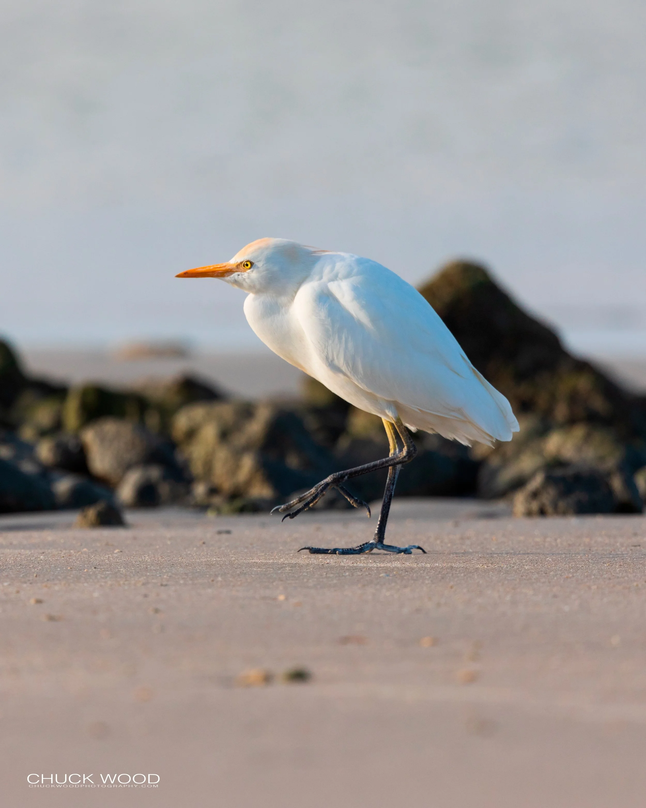  Sebastian Inlet, FL 2020 