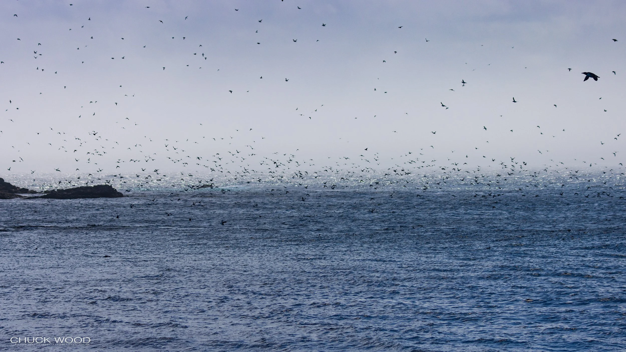   Williston NWR, NL 2022 