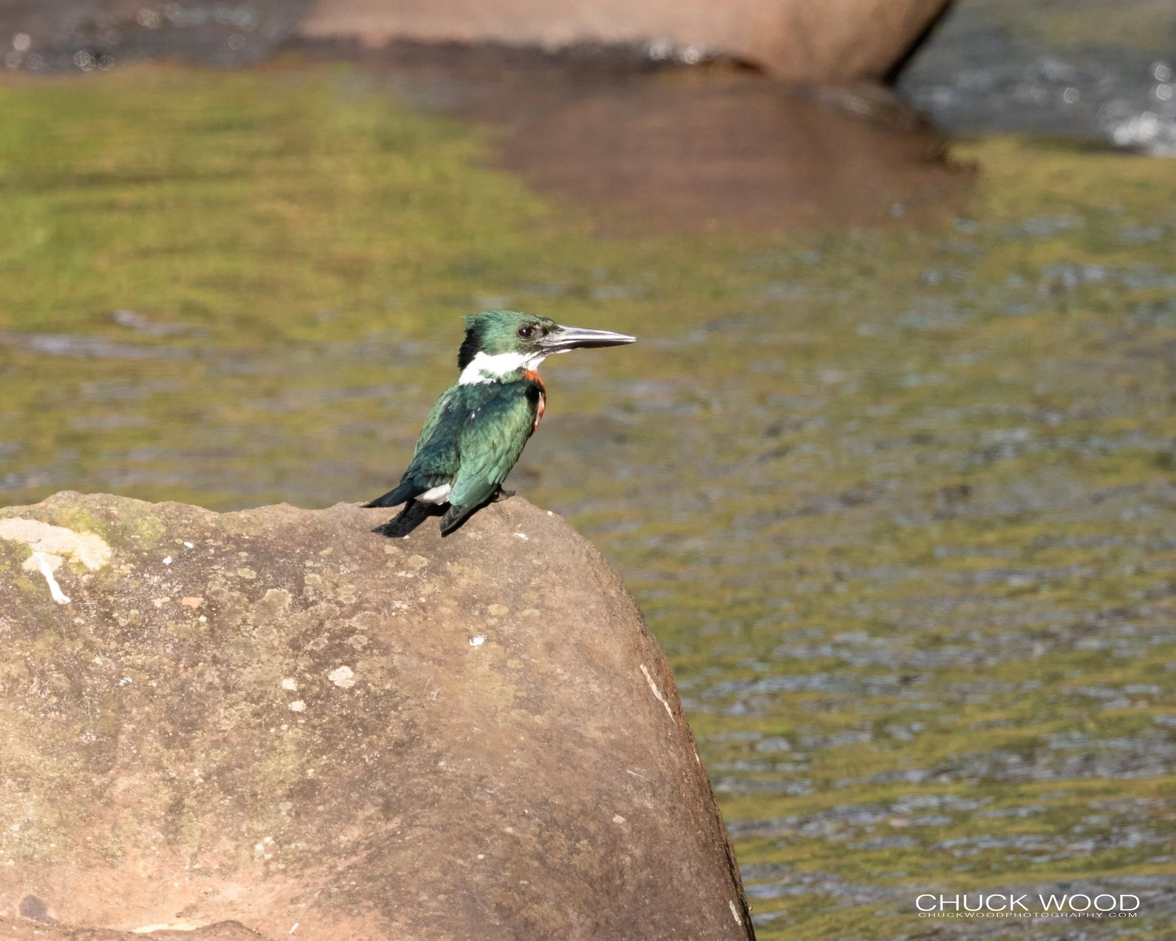  Tuis River Valley, Costa Rica 2020 