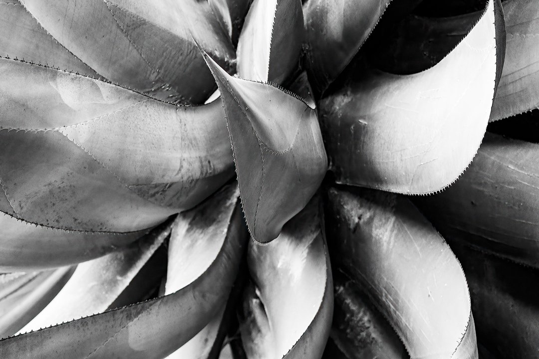 The Backstory: Mal Pais