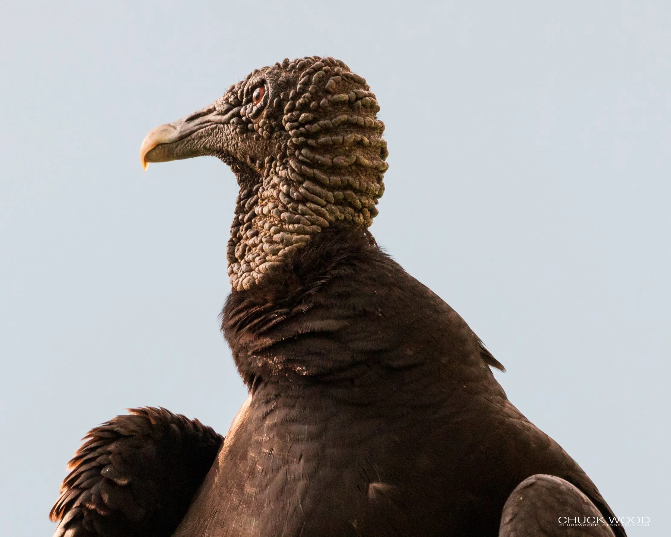  Embalse Angostura, Costa Rica 2020 