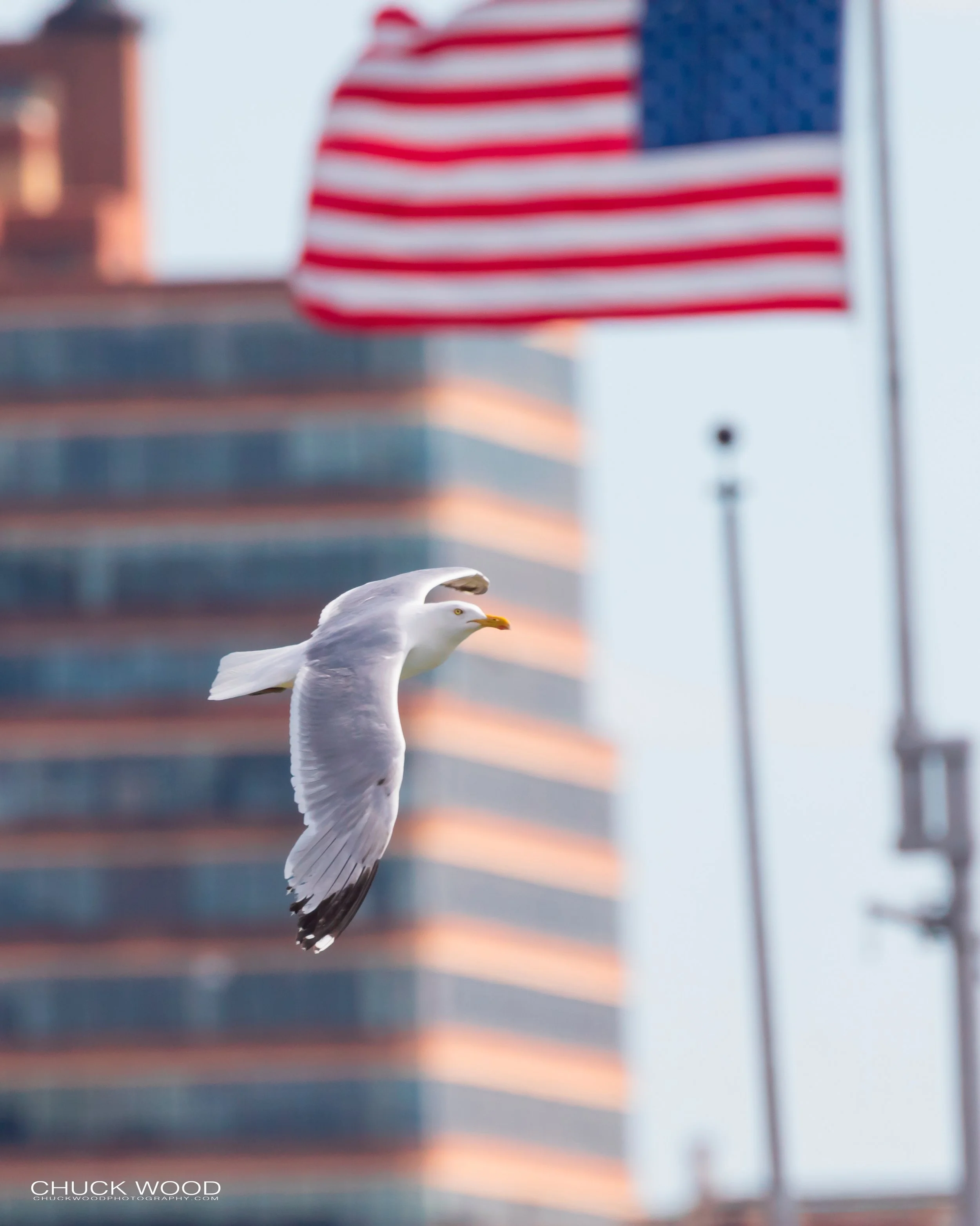 Hudson River, NYC 2019 