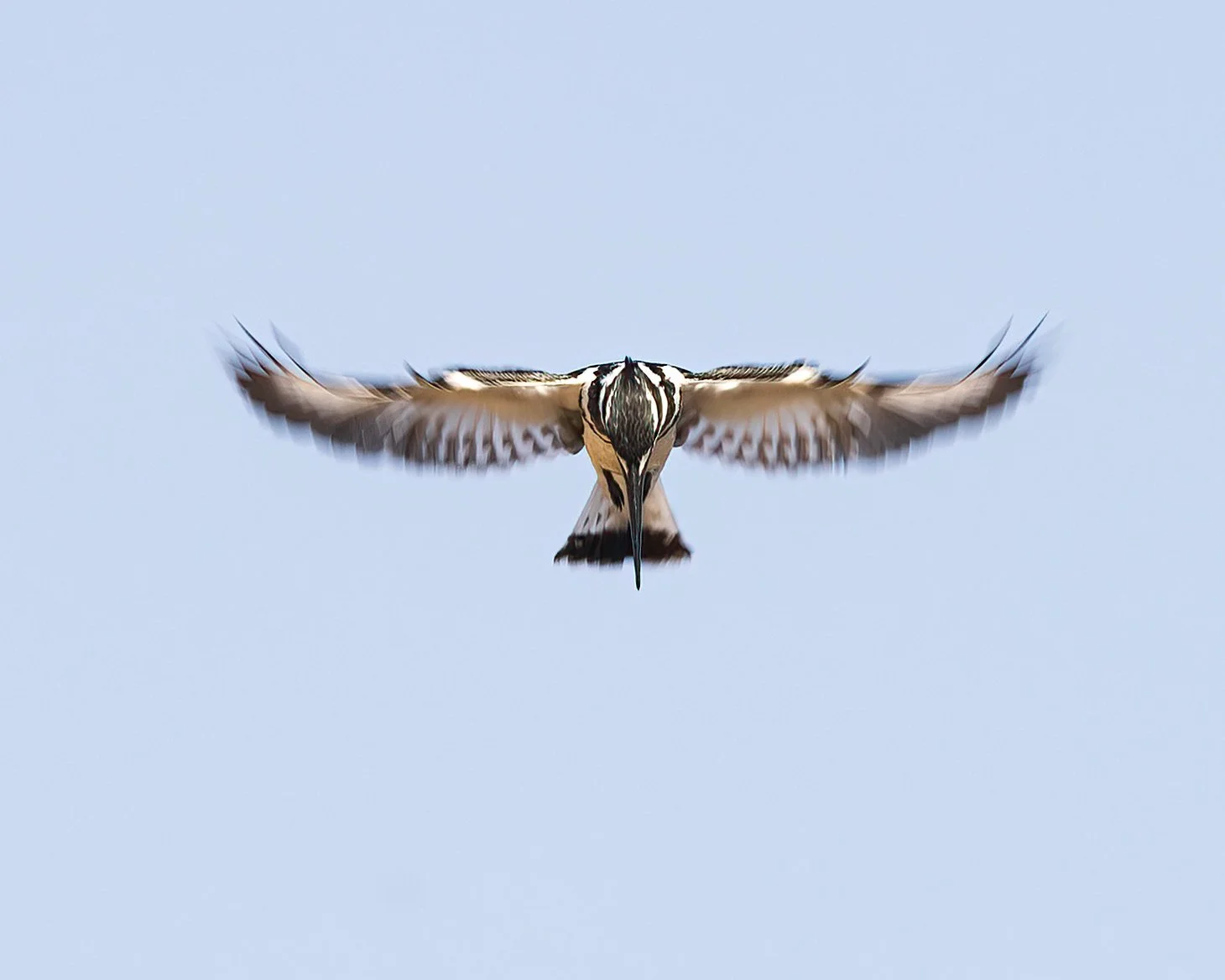  Chobe River, Botswana 2023 