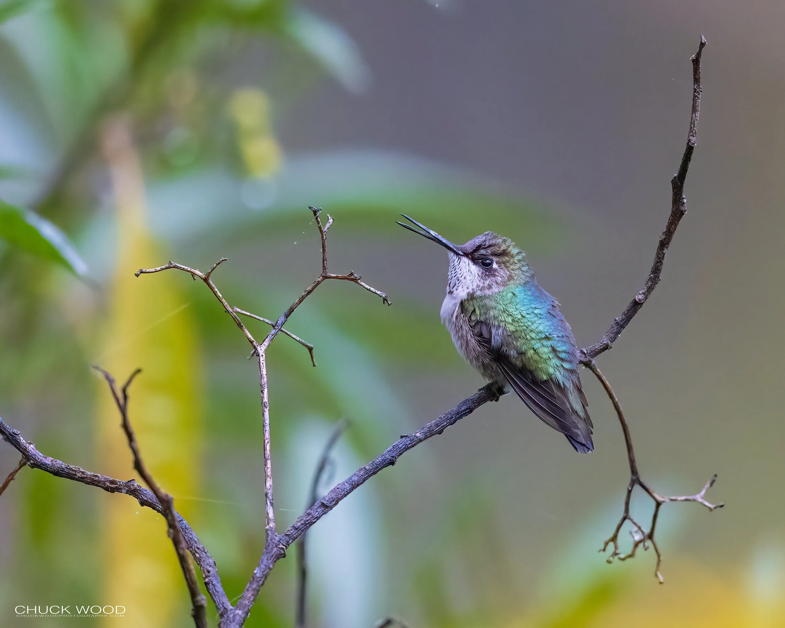  Camino La Cumbra, MX 2022 