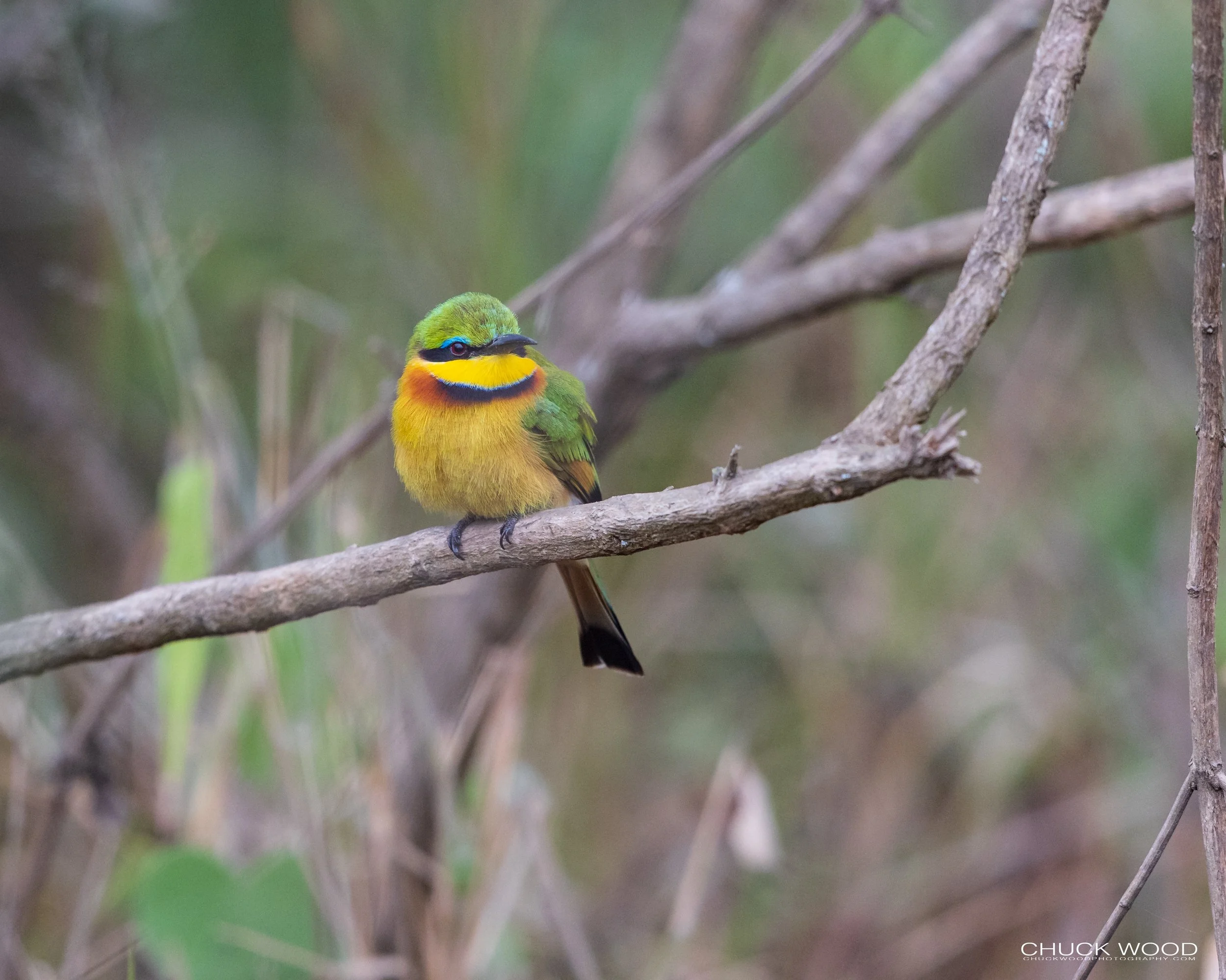  Arusha, Tanzania 2021 