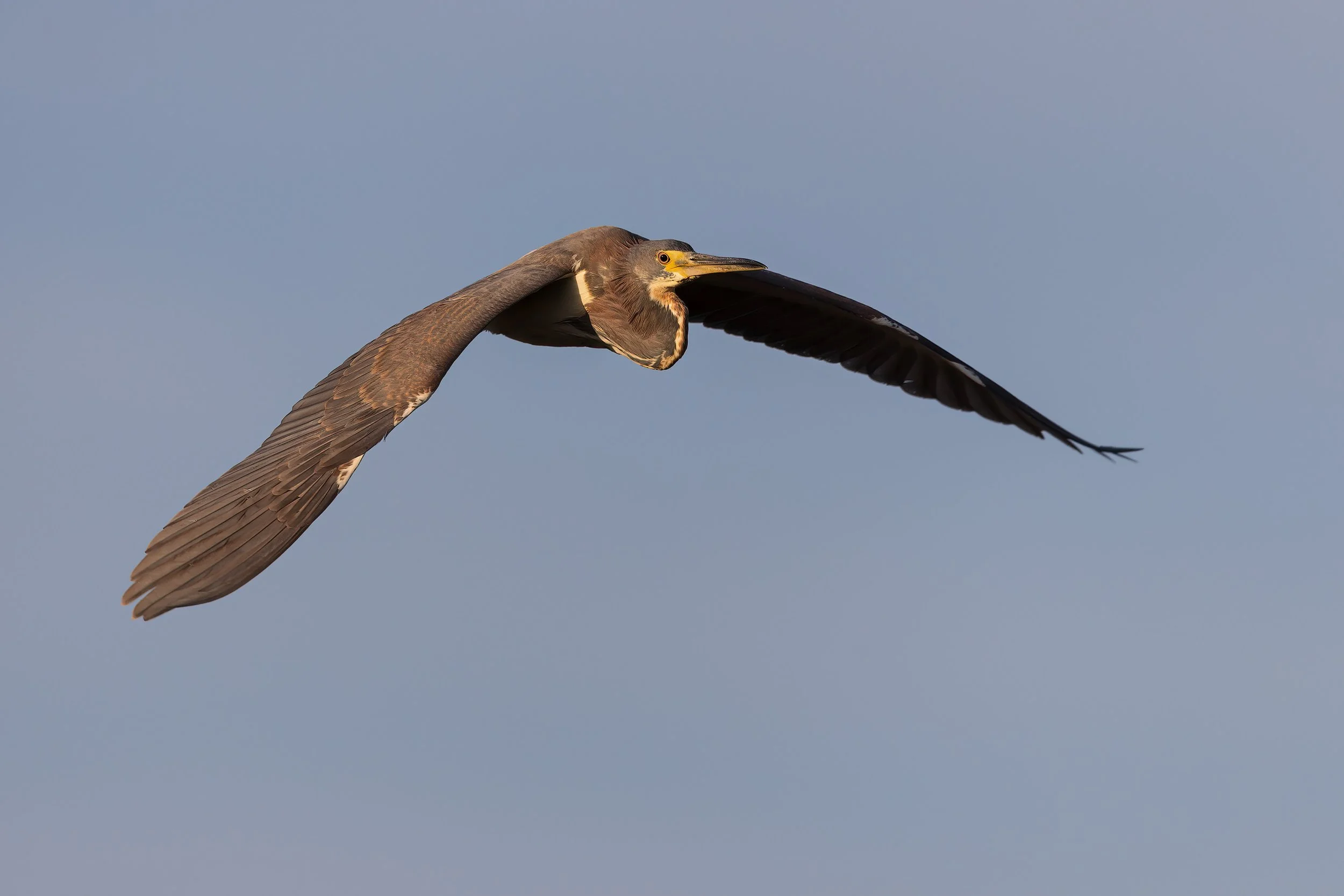  Merritt Island, FL 2023 