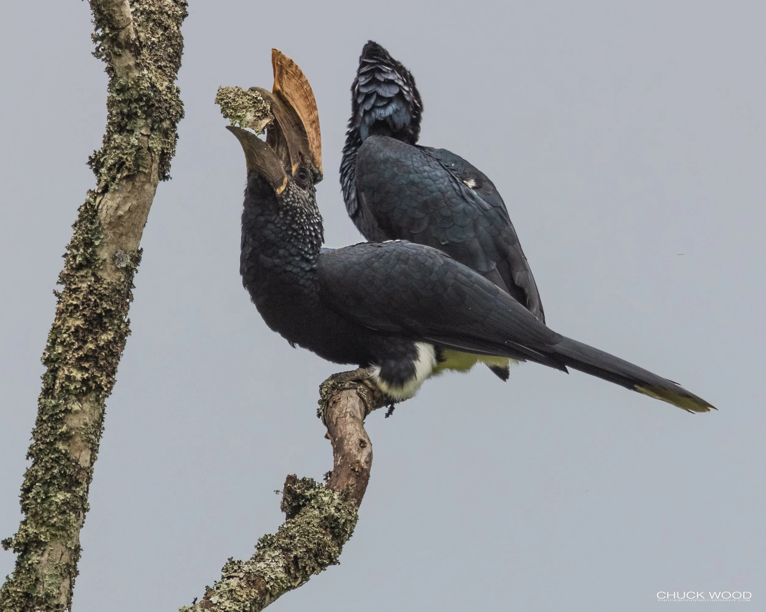  Arusha, Tanzania 2021 
