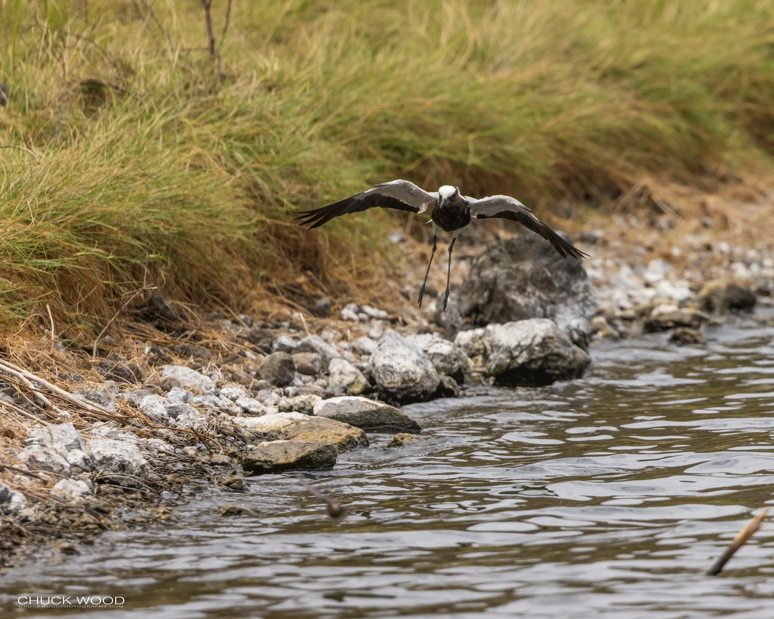  Arusha, Tanzania 2021 