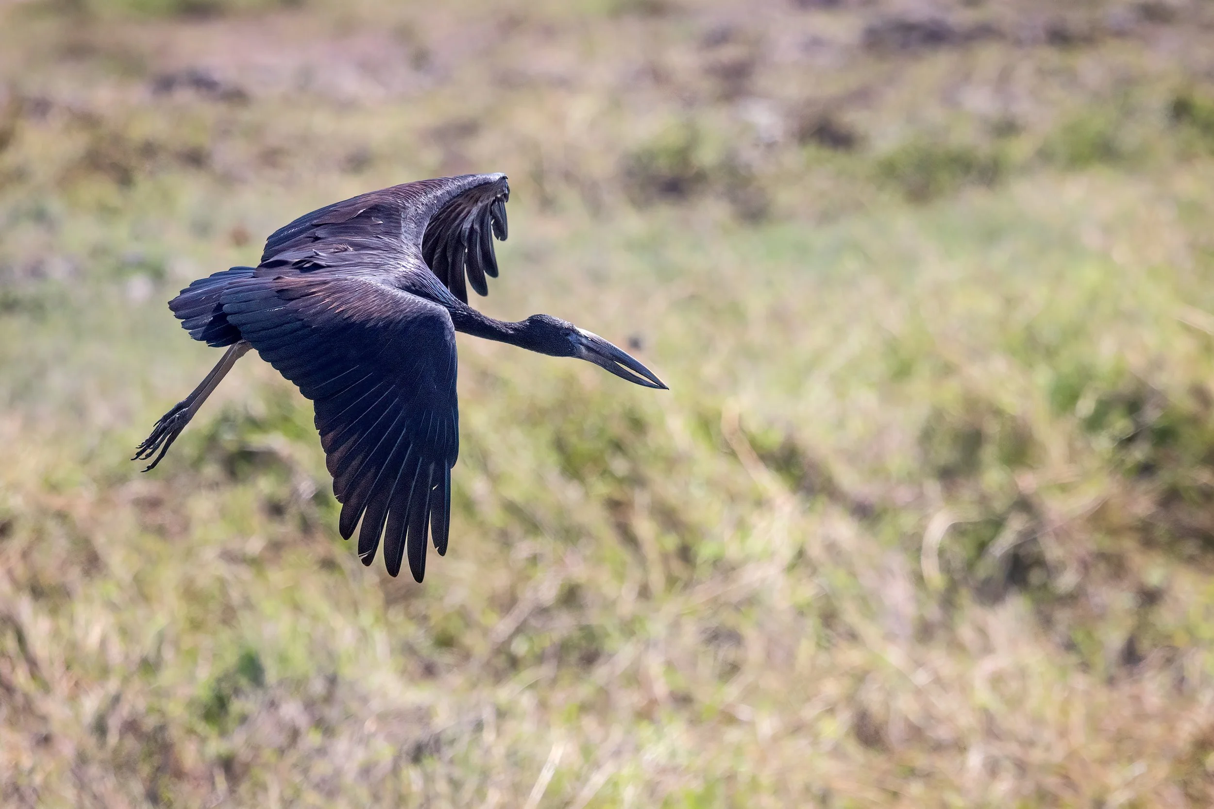  Chobe Riverfront, Botswana 2023 