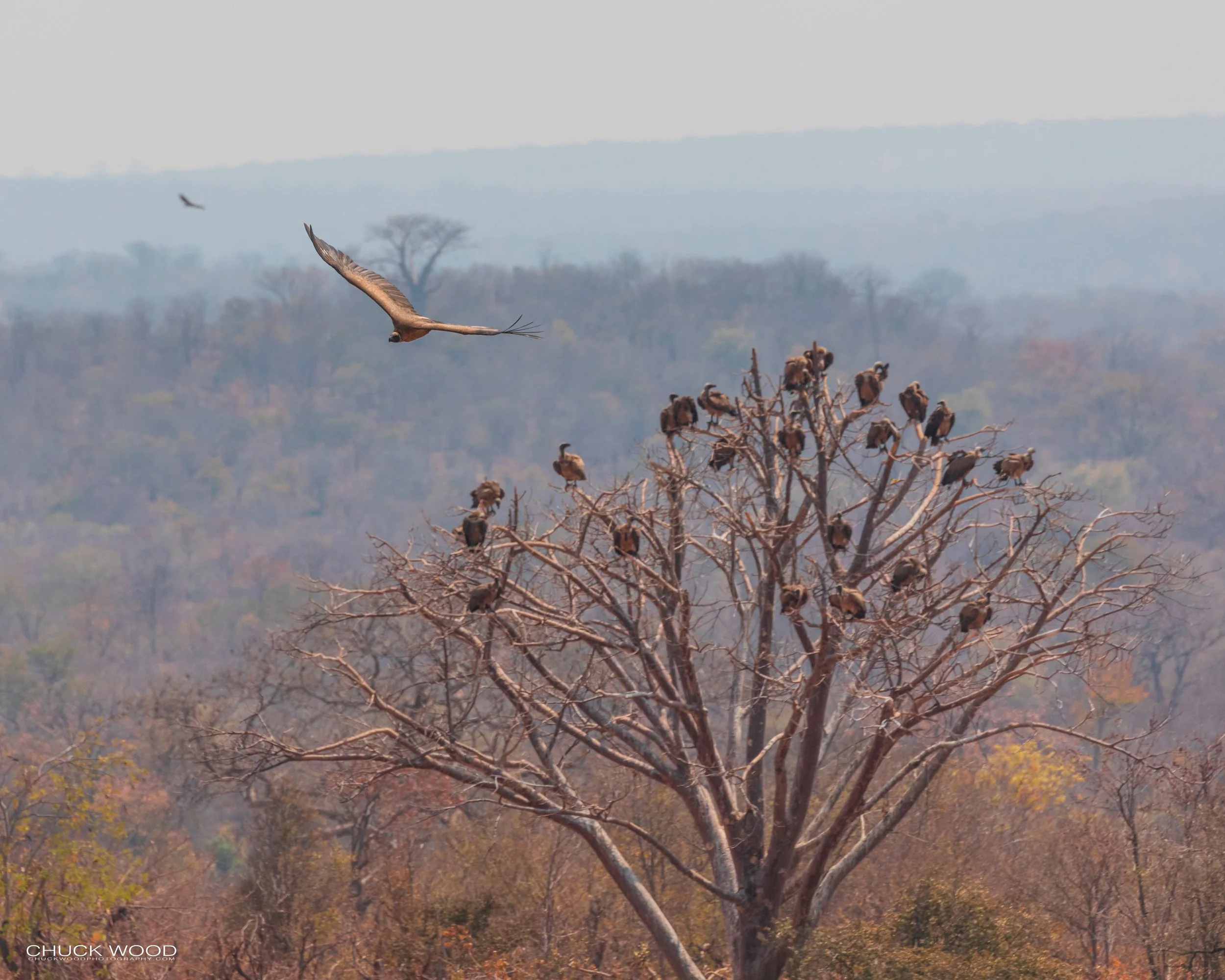  Victoria Falls, Zimbabwe 2019 