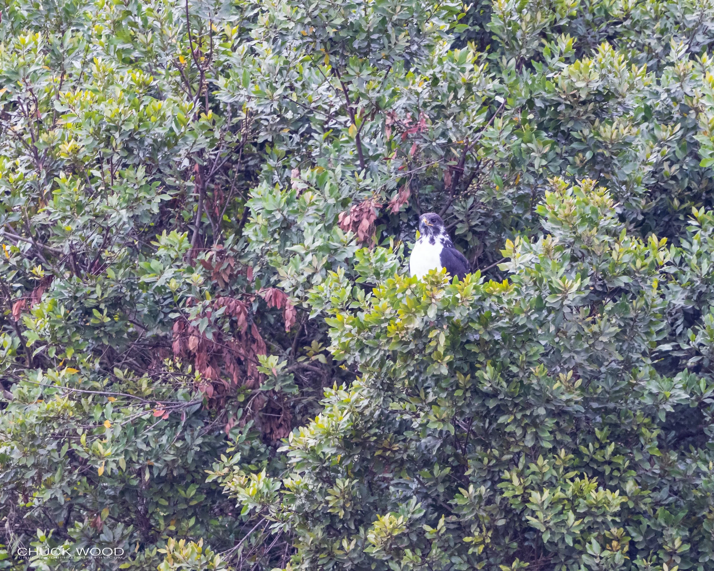  Arusha, Tanzania 2021 