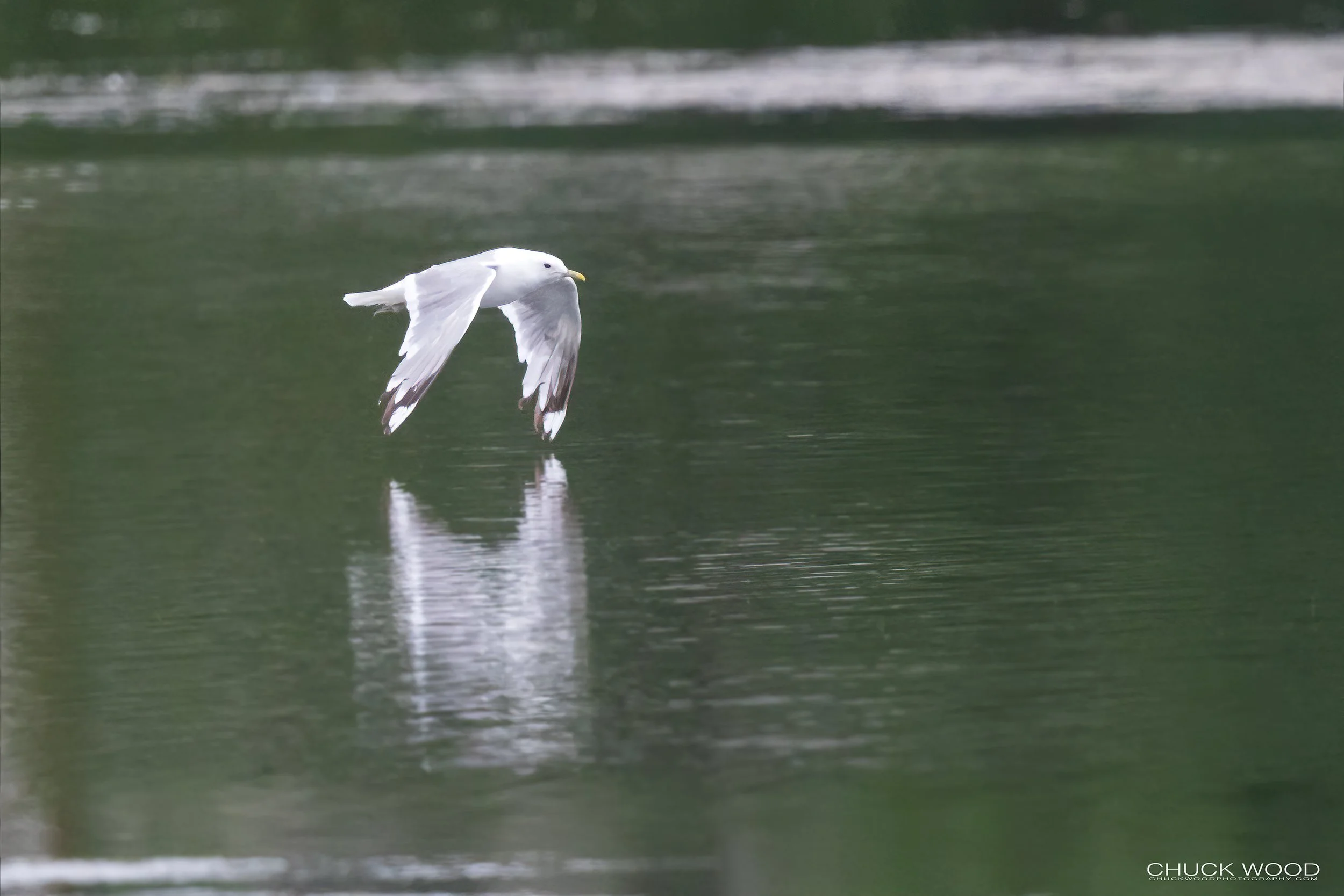  Westchester Lagoon Anchorage, AK 2022 