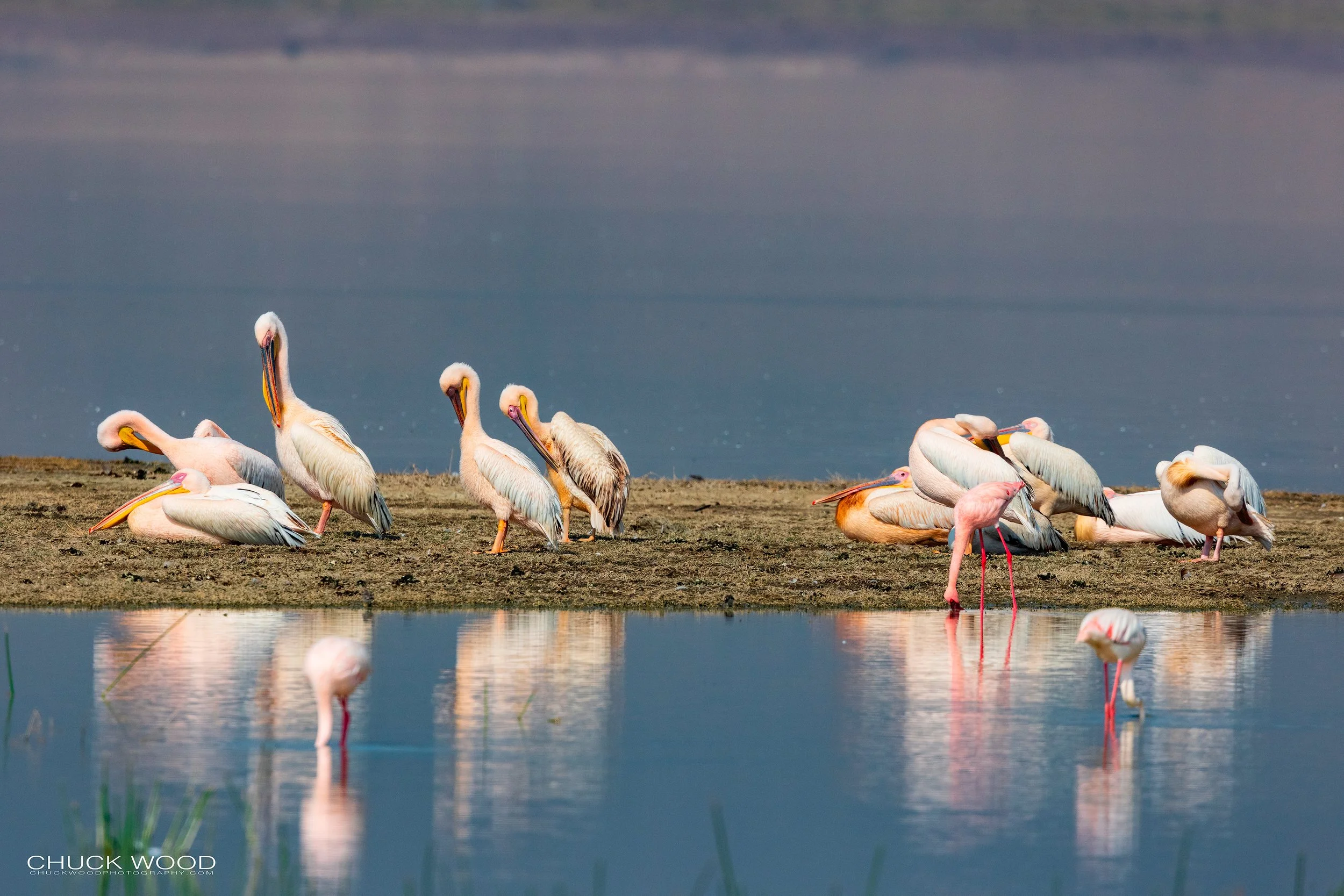  Ngorongoro Crater, Tanzania, 2021 
