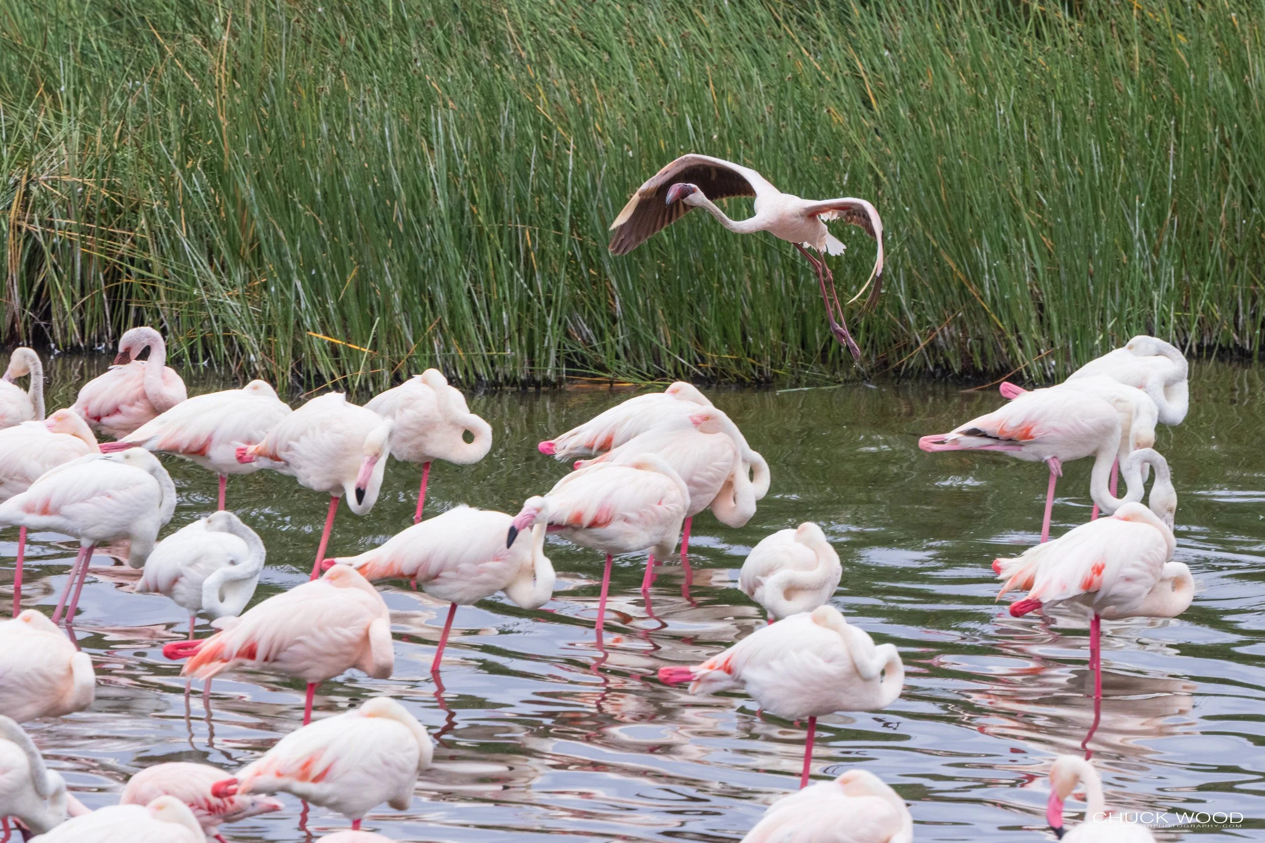  Arusha, Tanzania 2021 