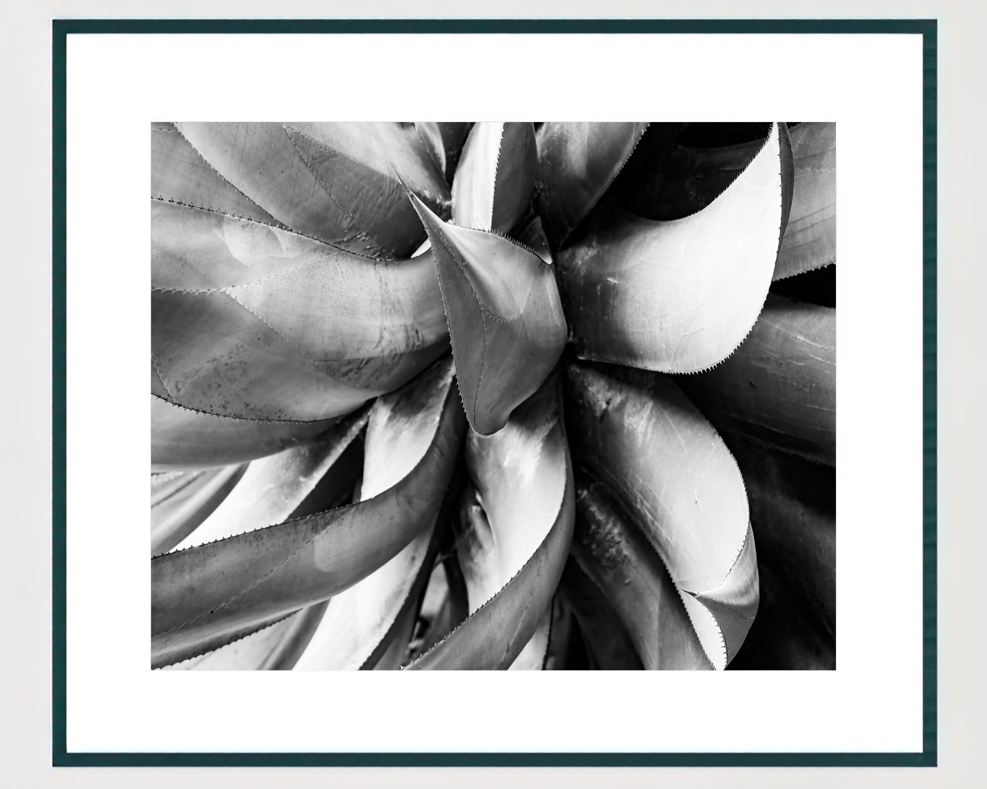 mal-pais-I-frame-template-4x5-black.jpg