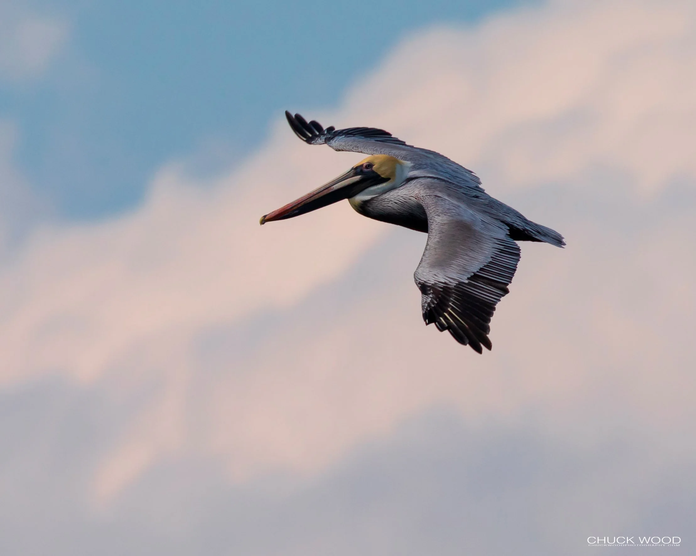  Sebastian Inlet, FL 2019 