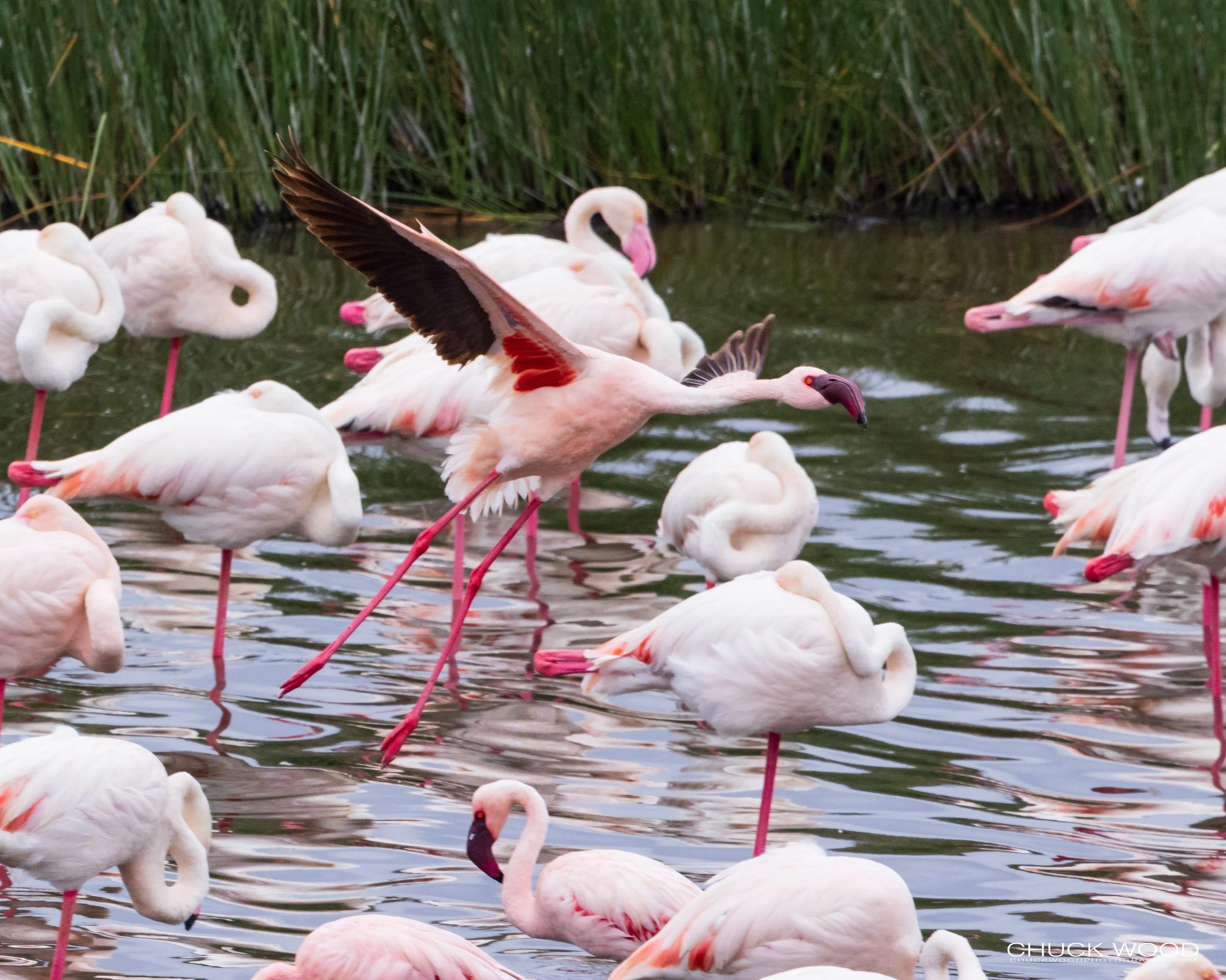  Arusha, Tanzania 2021 