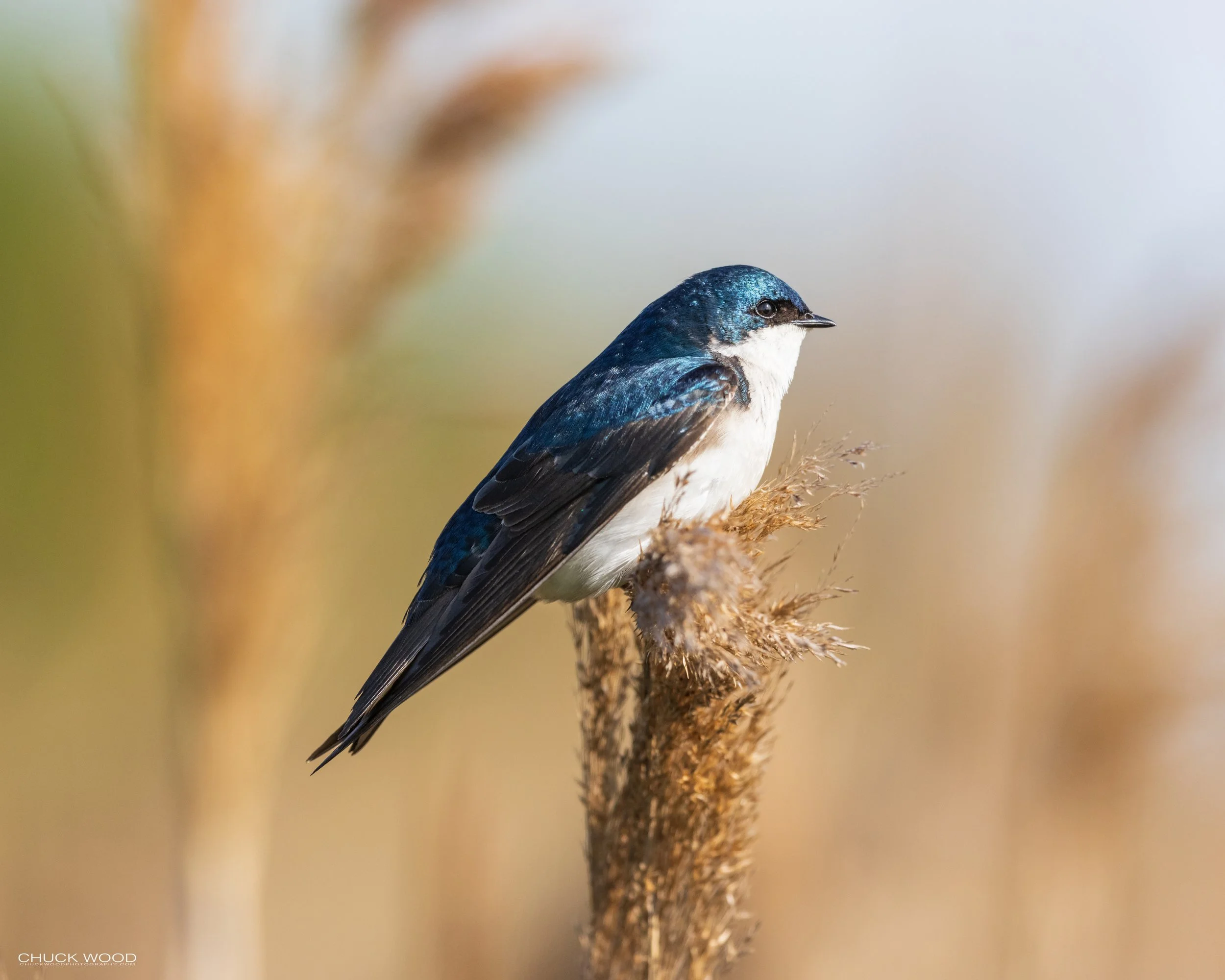  Dekorte Park, NJ 2021 