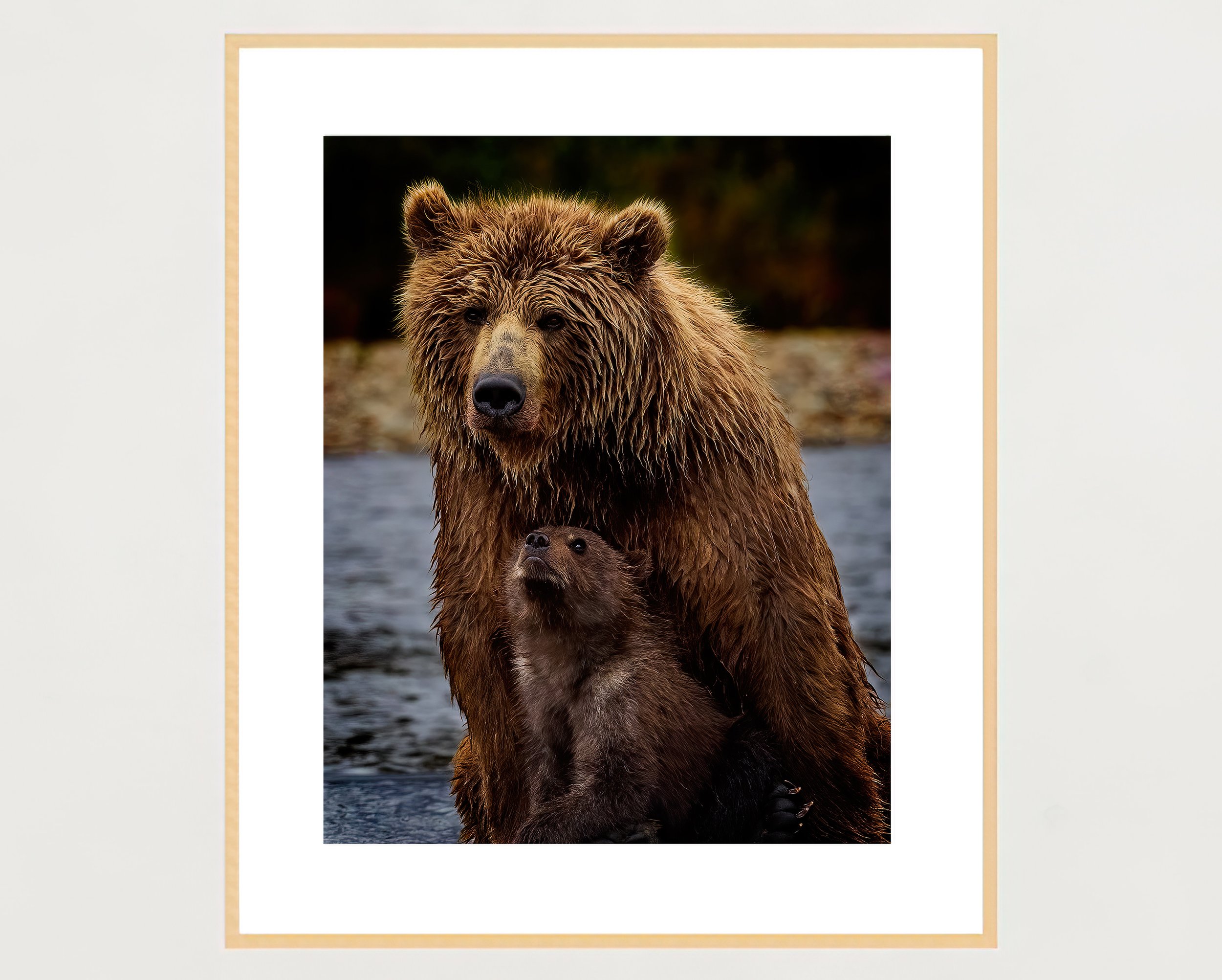 grizzly-cub-with-mother-frame-portrait-maple-WB.jpg