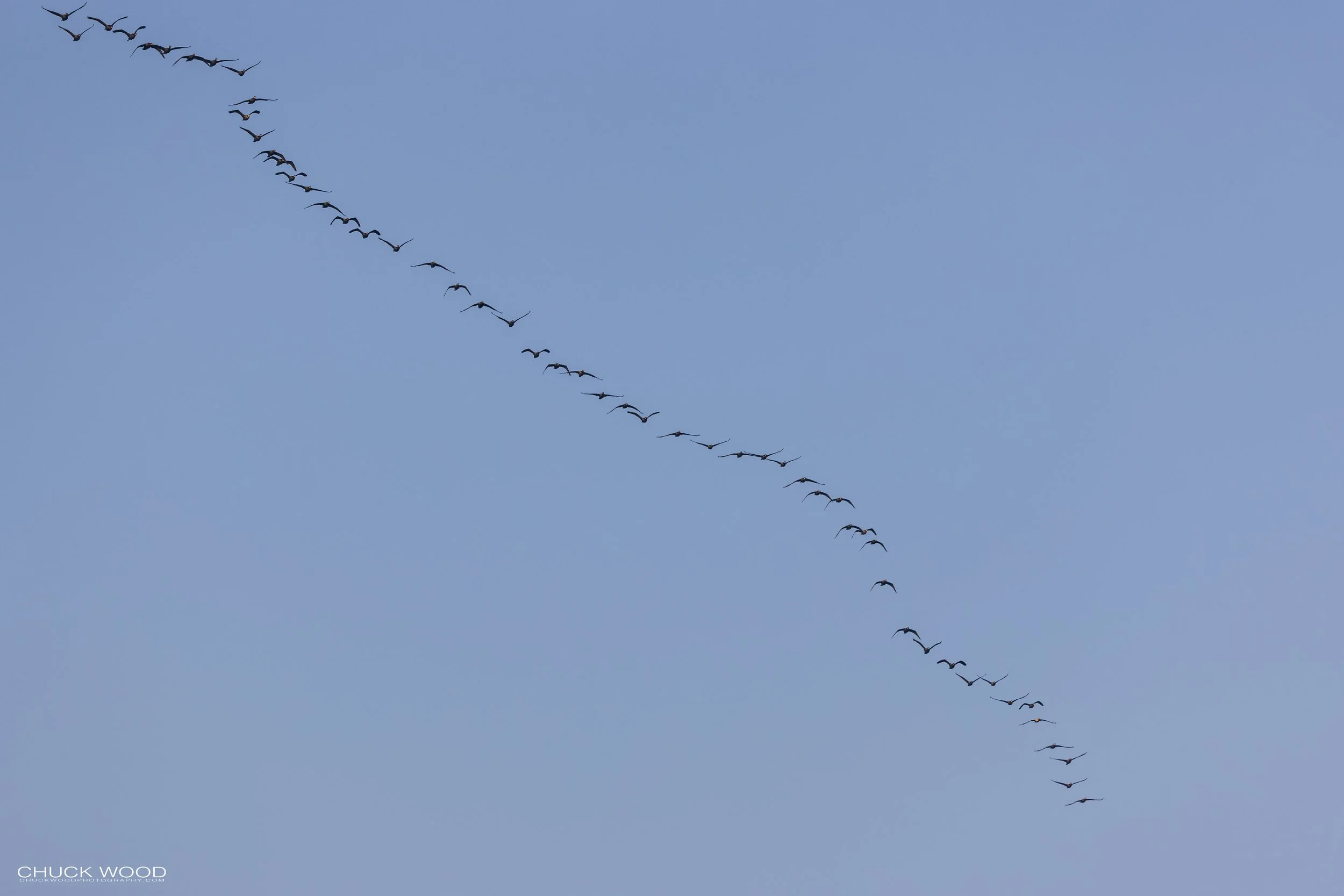  Stick Marsh, FL 2021 