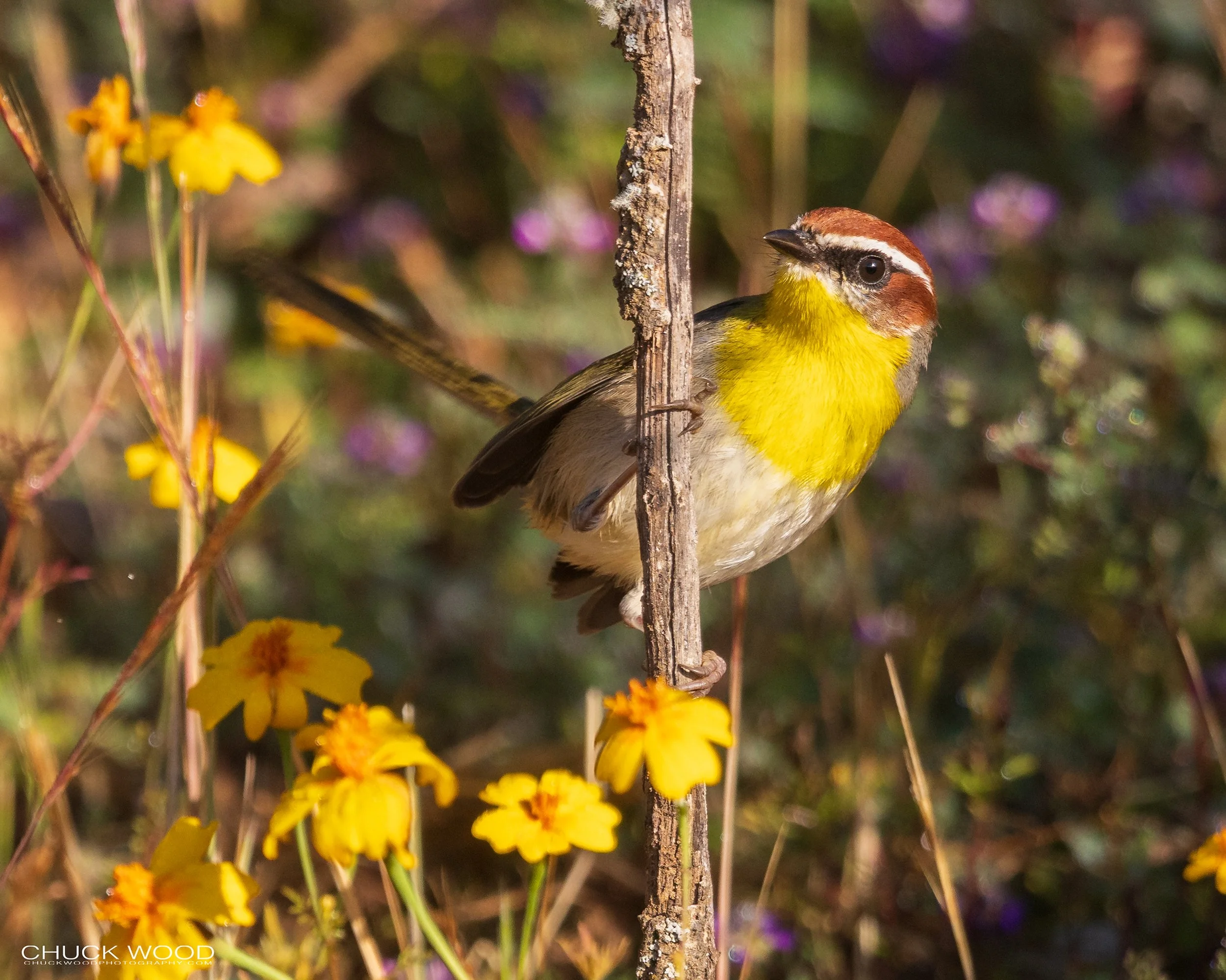  Camino Cuajimoloyas Oaxaca, MX 2022 