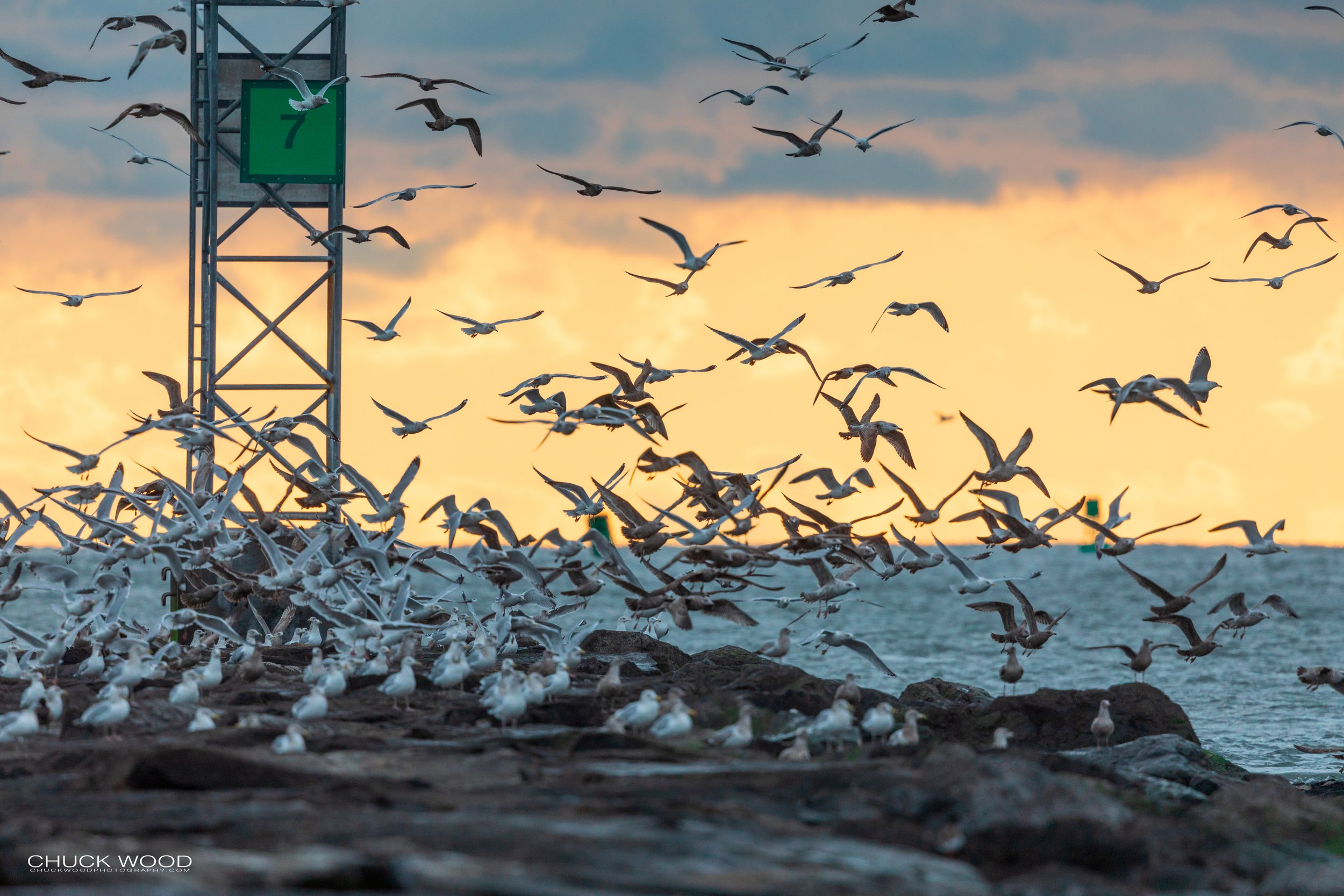  Barnegat Lighthouse, NJ 2020 