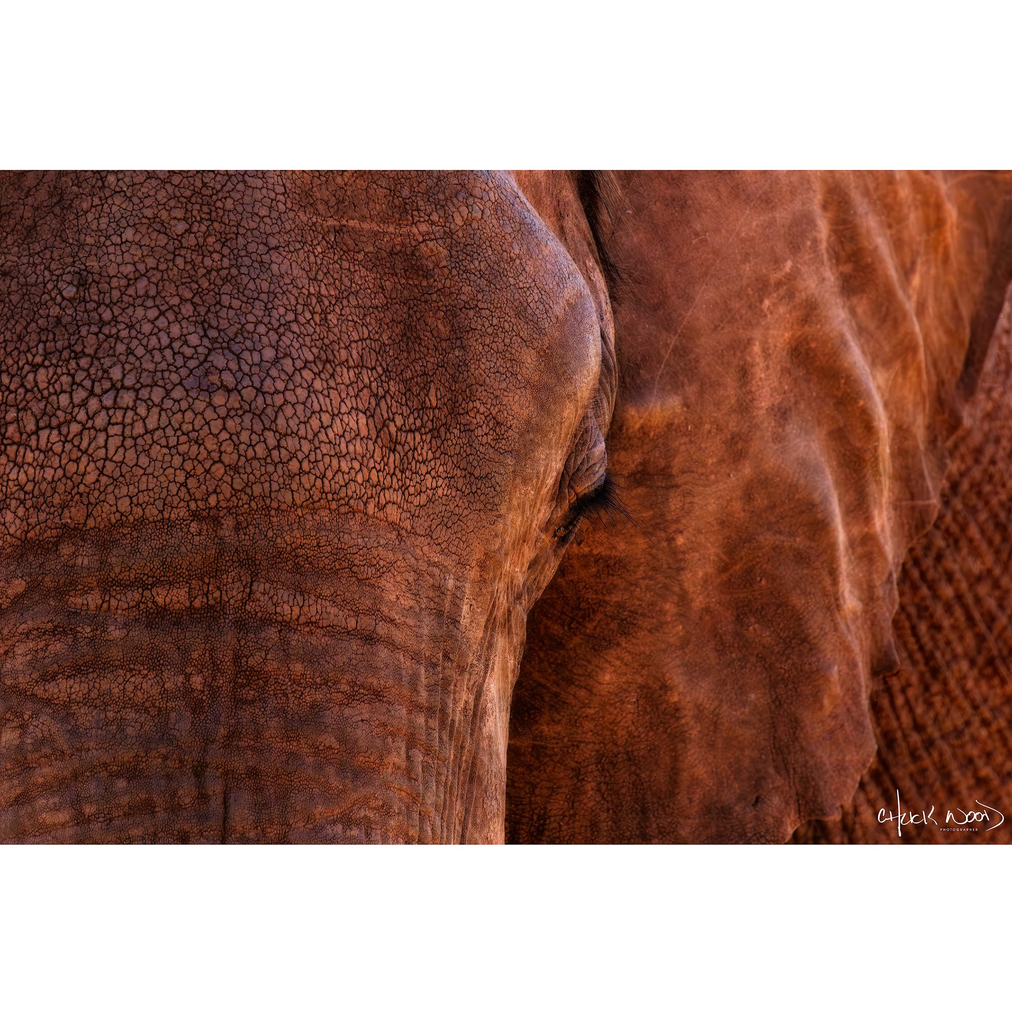 CW00642-Kariba-Earth-2019-STORE.jpg