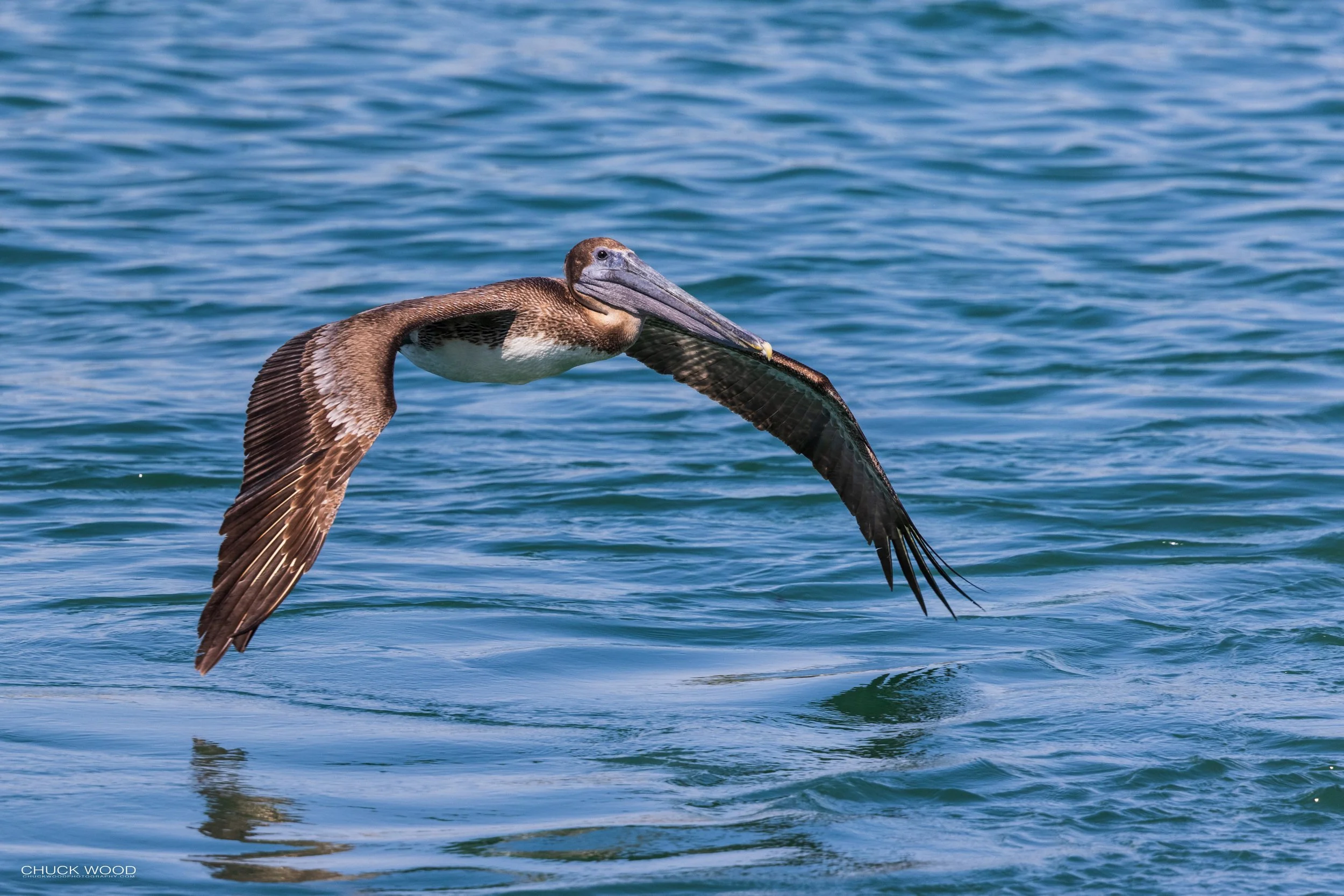  Sebastian Inlet, FL 2021 