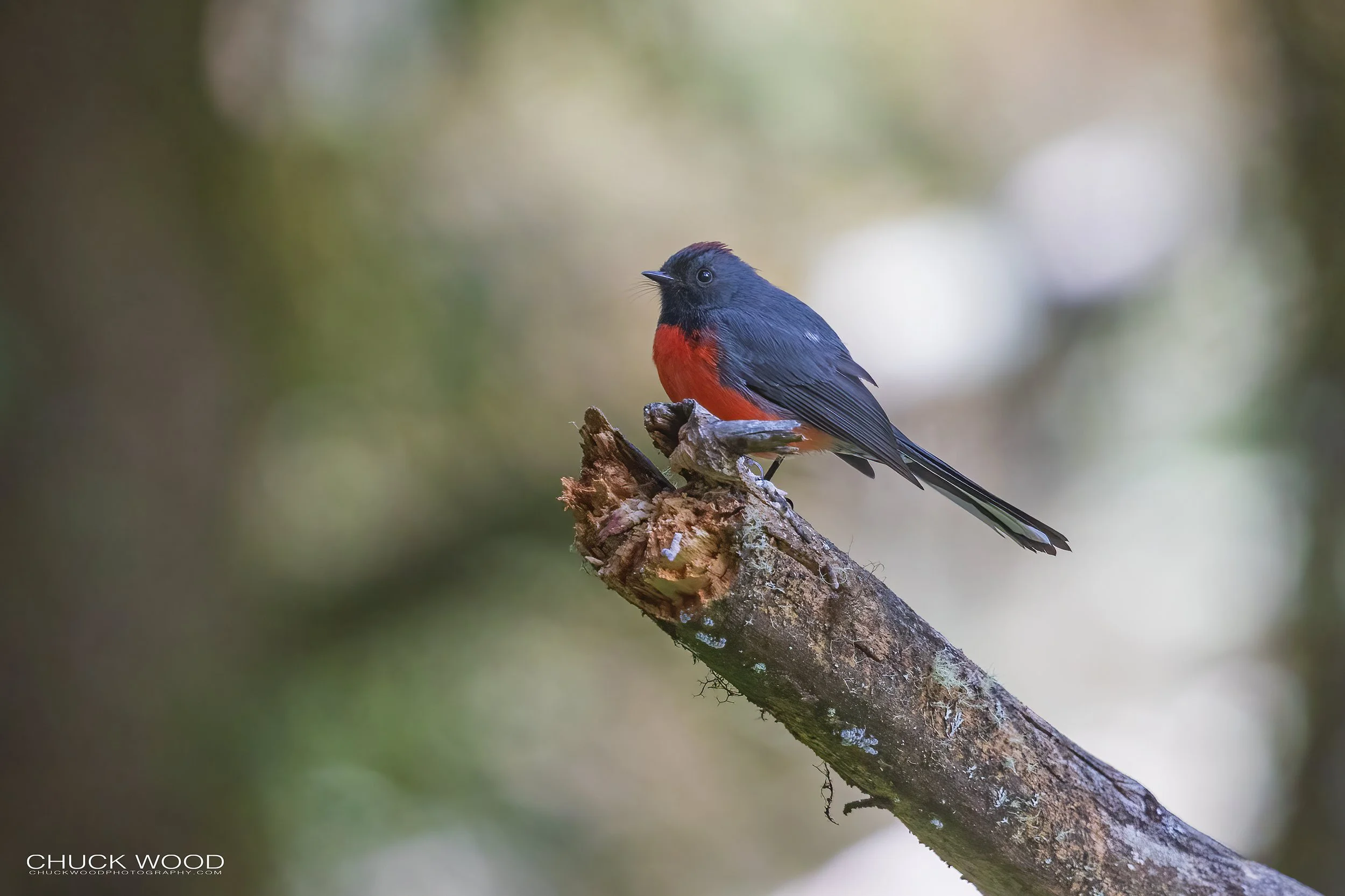  Camino La Cumbre Oaxaca, MX 2022 