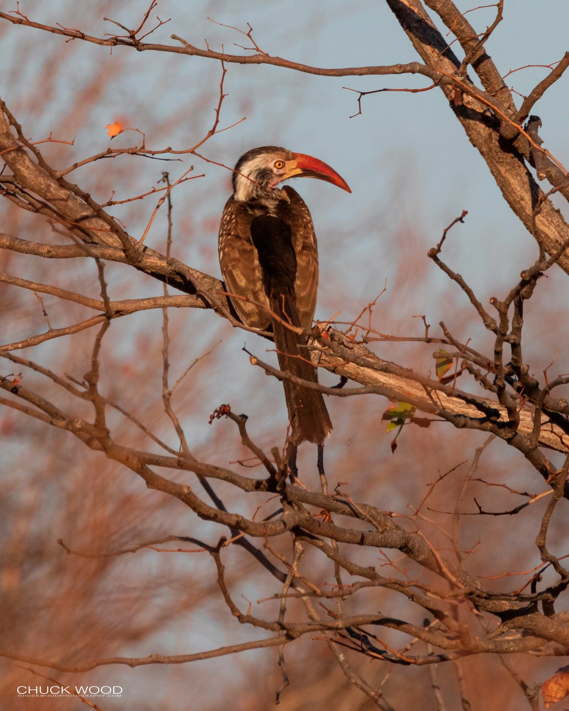  Lake Kariba, Zimbabwe 2019 