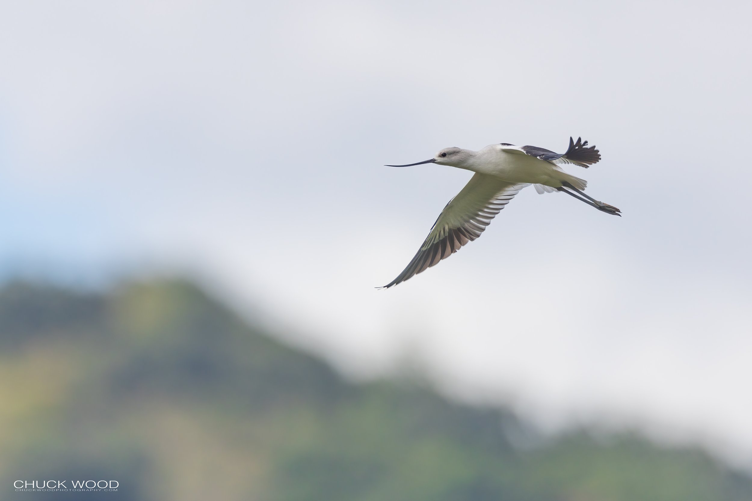  Puente de Hierro Oaxaca, MX 2022 