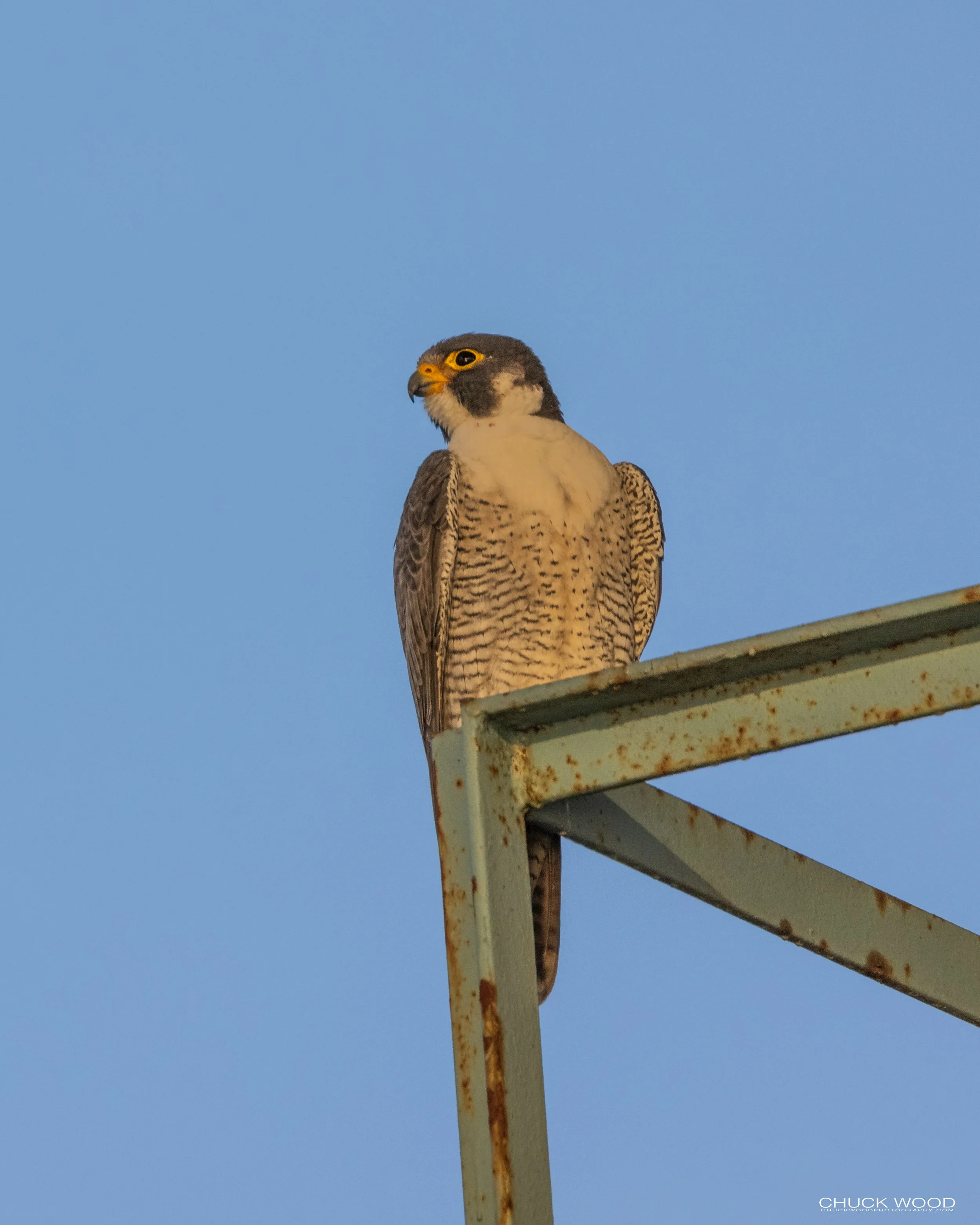  Meadowlands, NJ 2021 