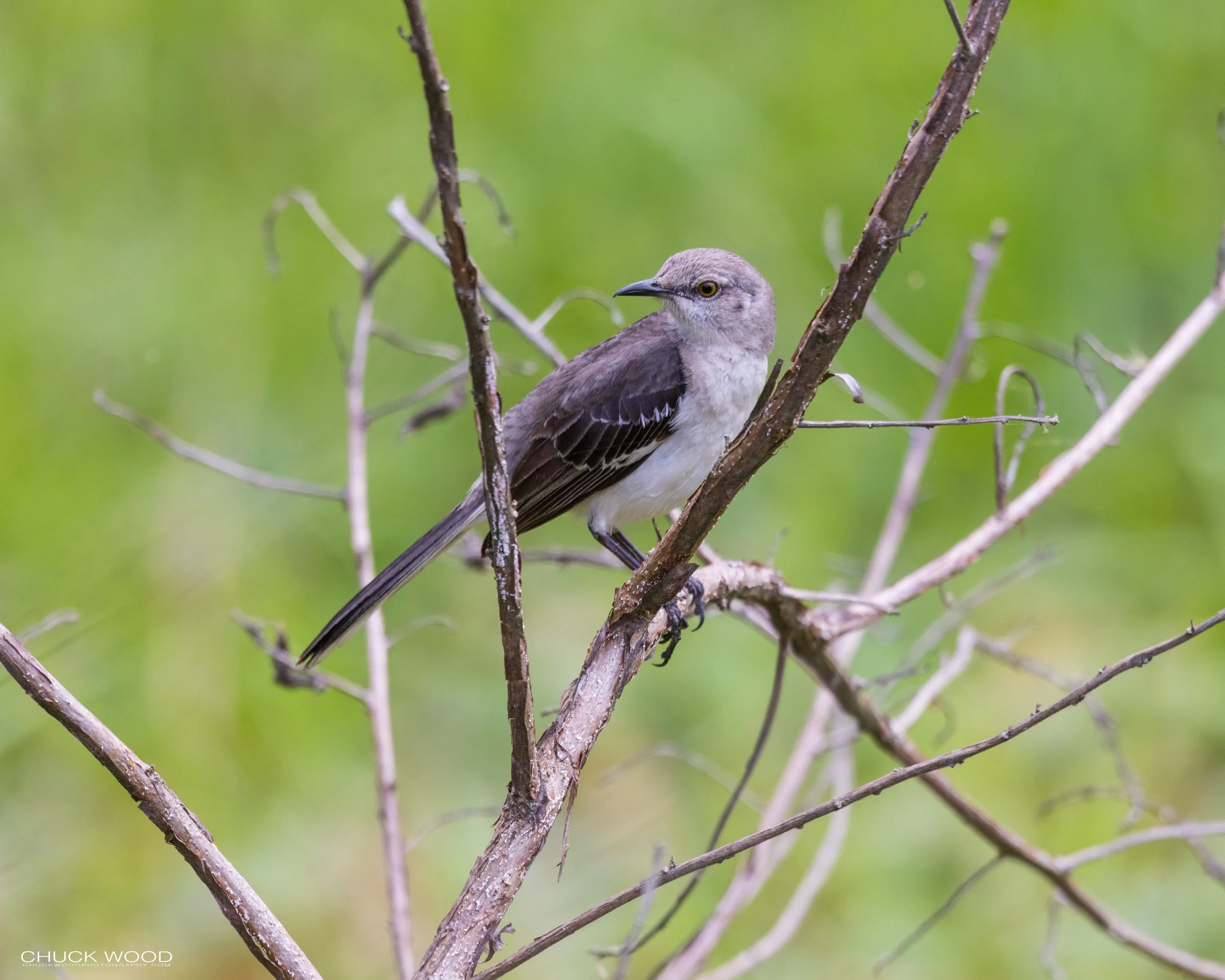  Loxahatchee, FL 2021 