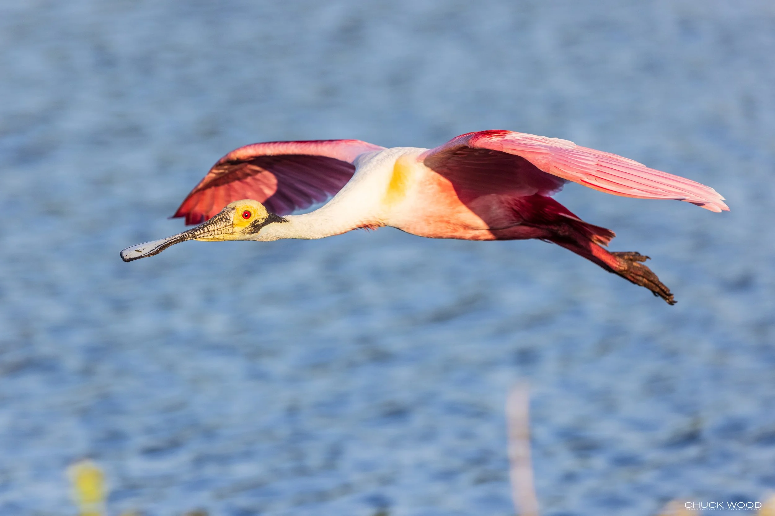  Stick Marsh, FL 2021 