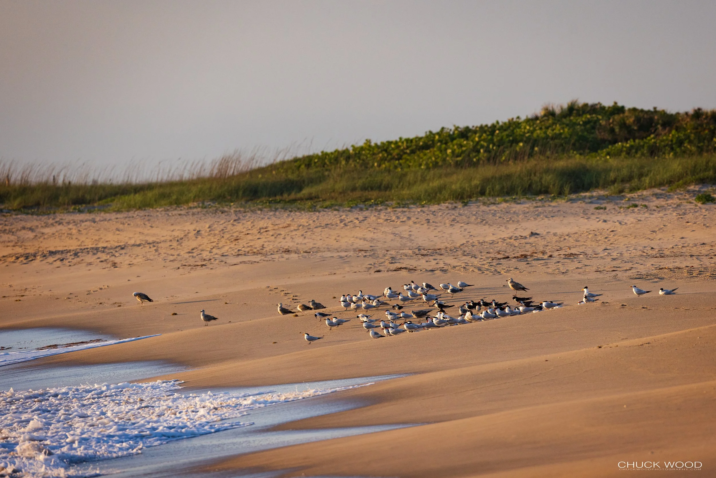  Sebastian Inlet, FL 2022 