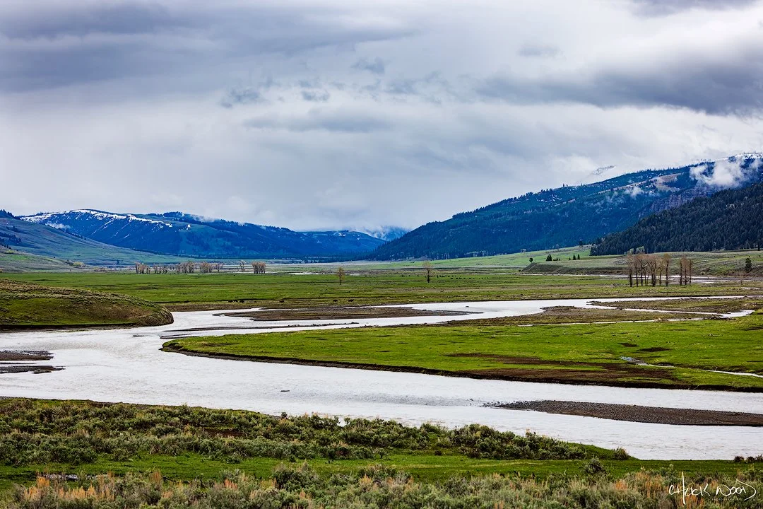 CW00446-Lamar-Valley-1-2025-1080-sig.jpg
