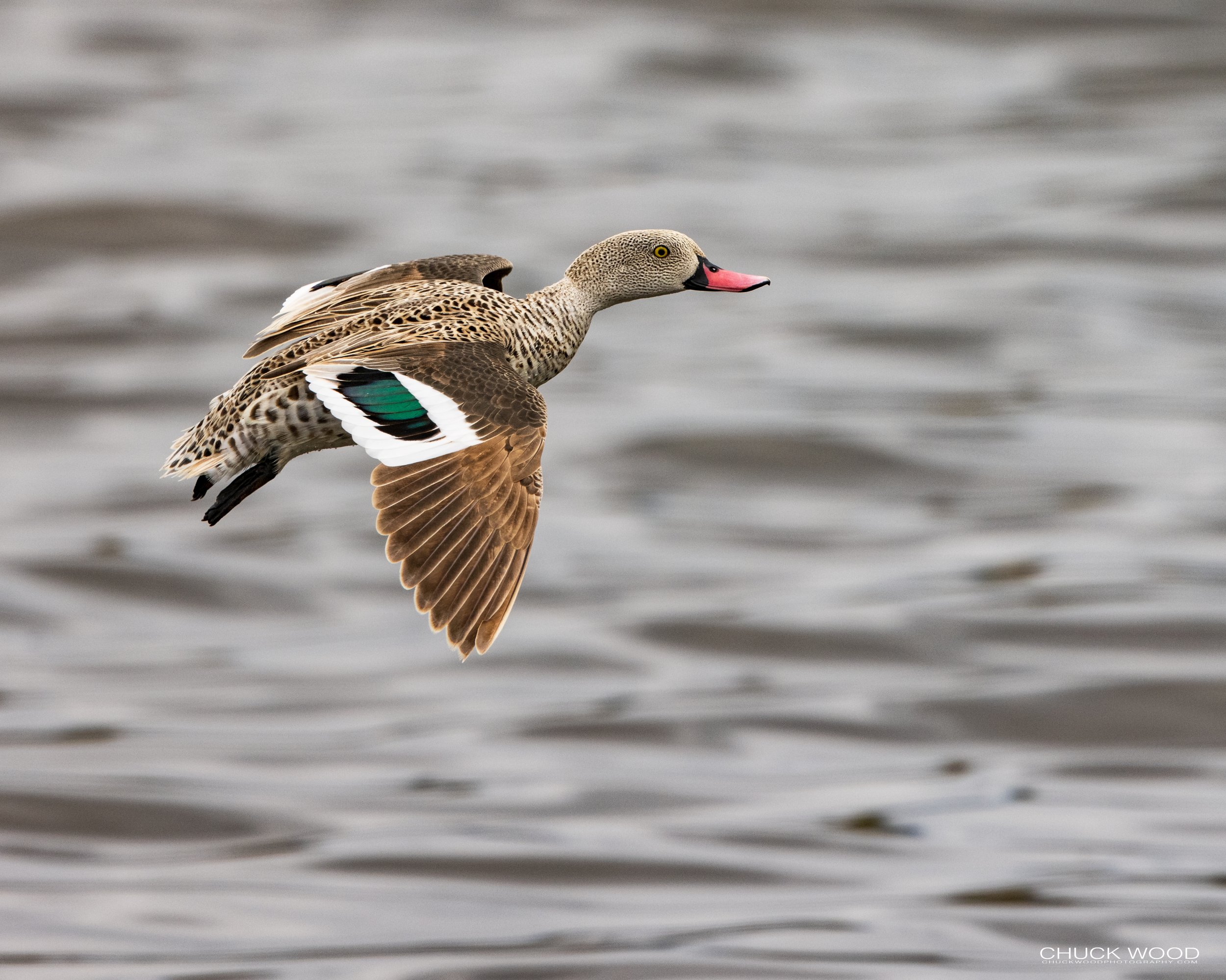  Arusha, Tanzania 2021 