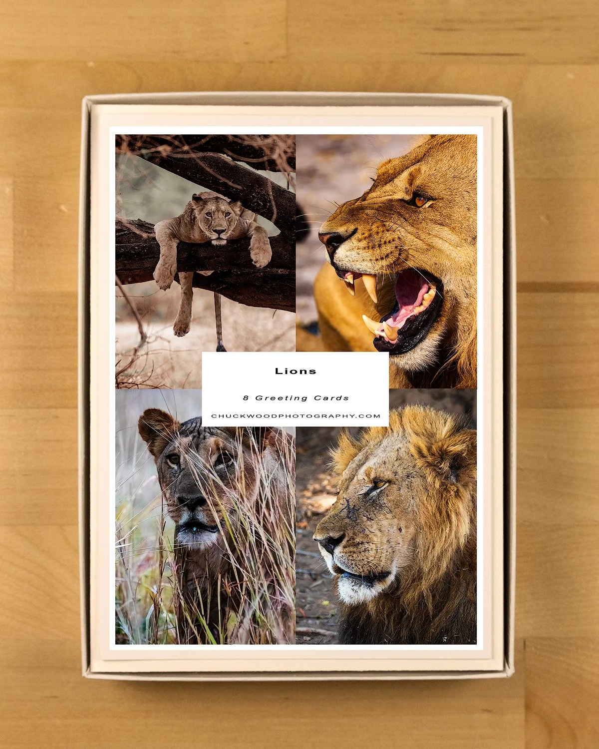 Lions-Boxed-Set-product-shot-BOX-1500.jpg