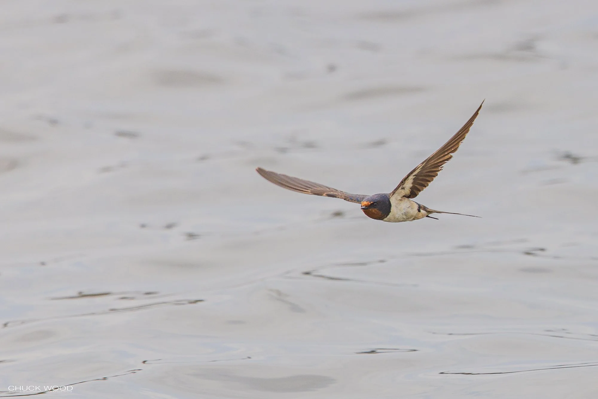  Arusha, Tanzania 2021 