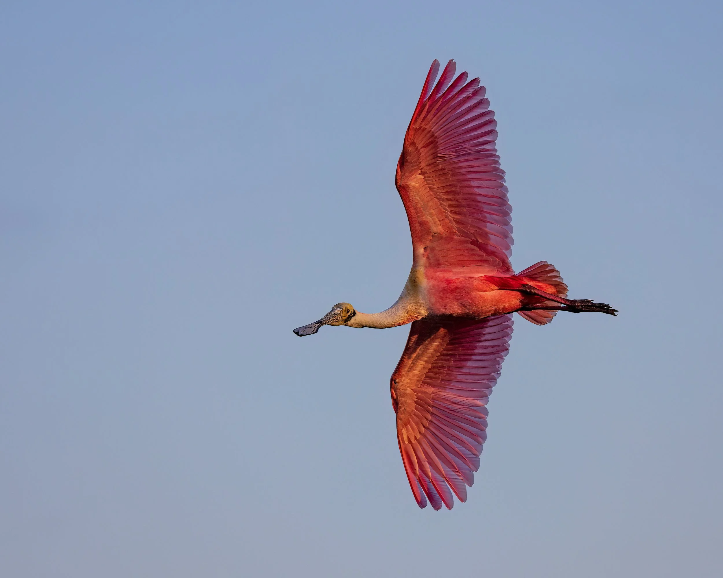  Stick Marsh, FL 2023 