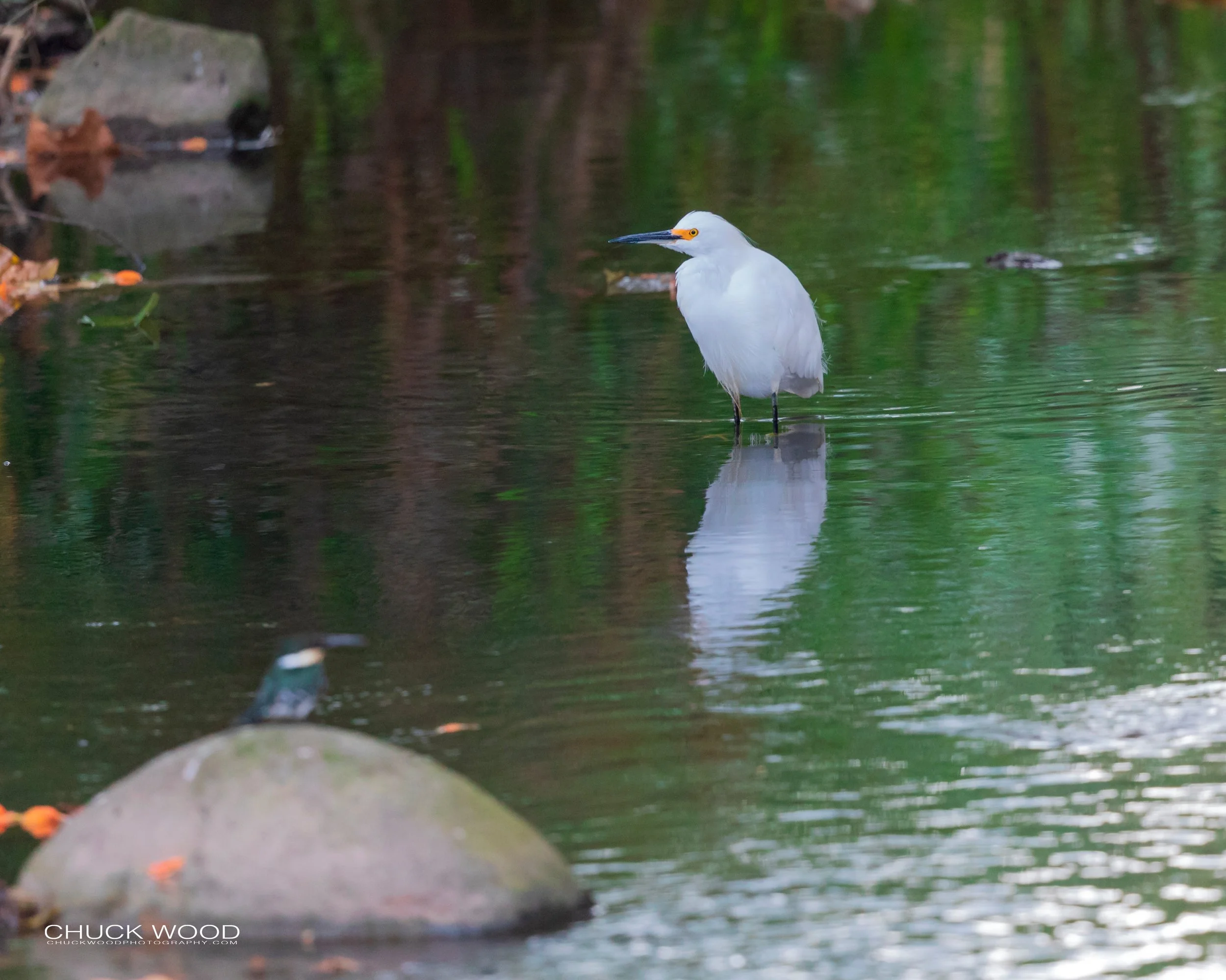  Tuis River Valley, Costa Rica 2020 