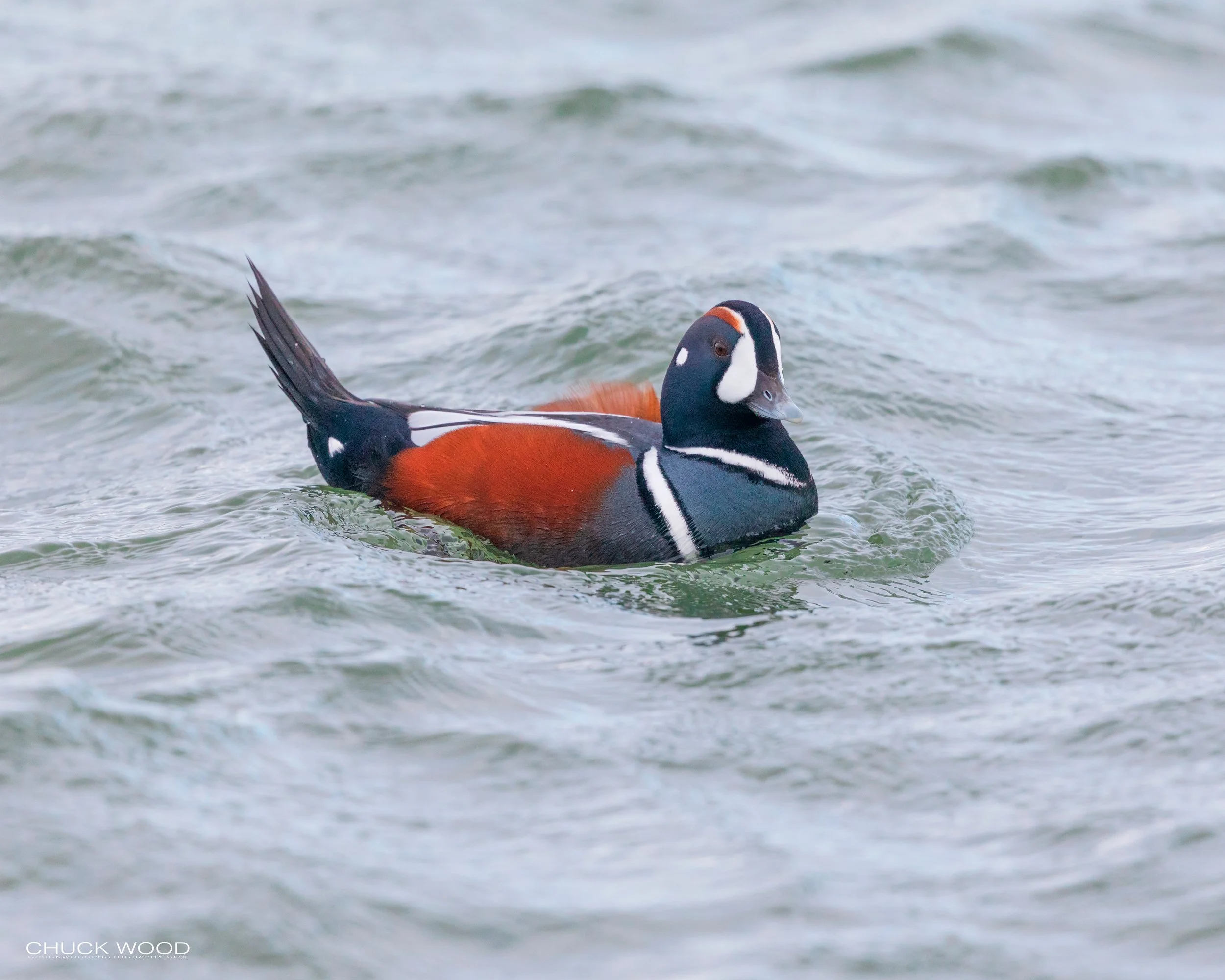  Barnegat Lighthouse, NJ 2020 