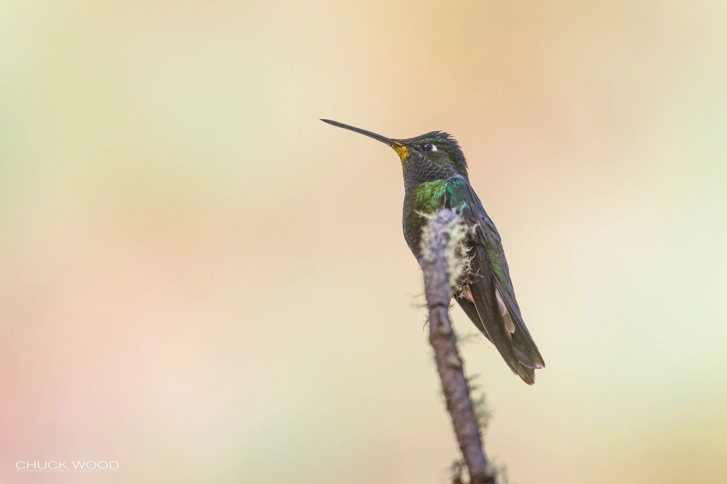  Camino La Cumbra, MX 2022 