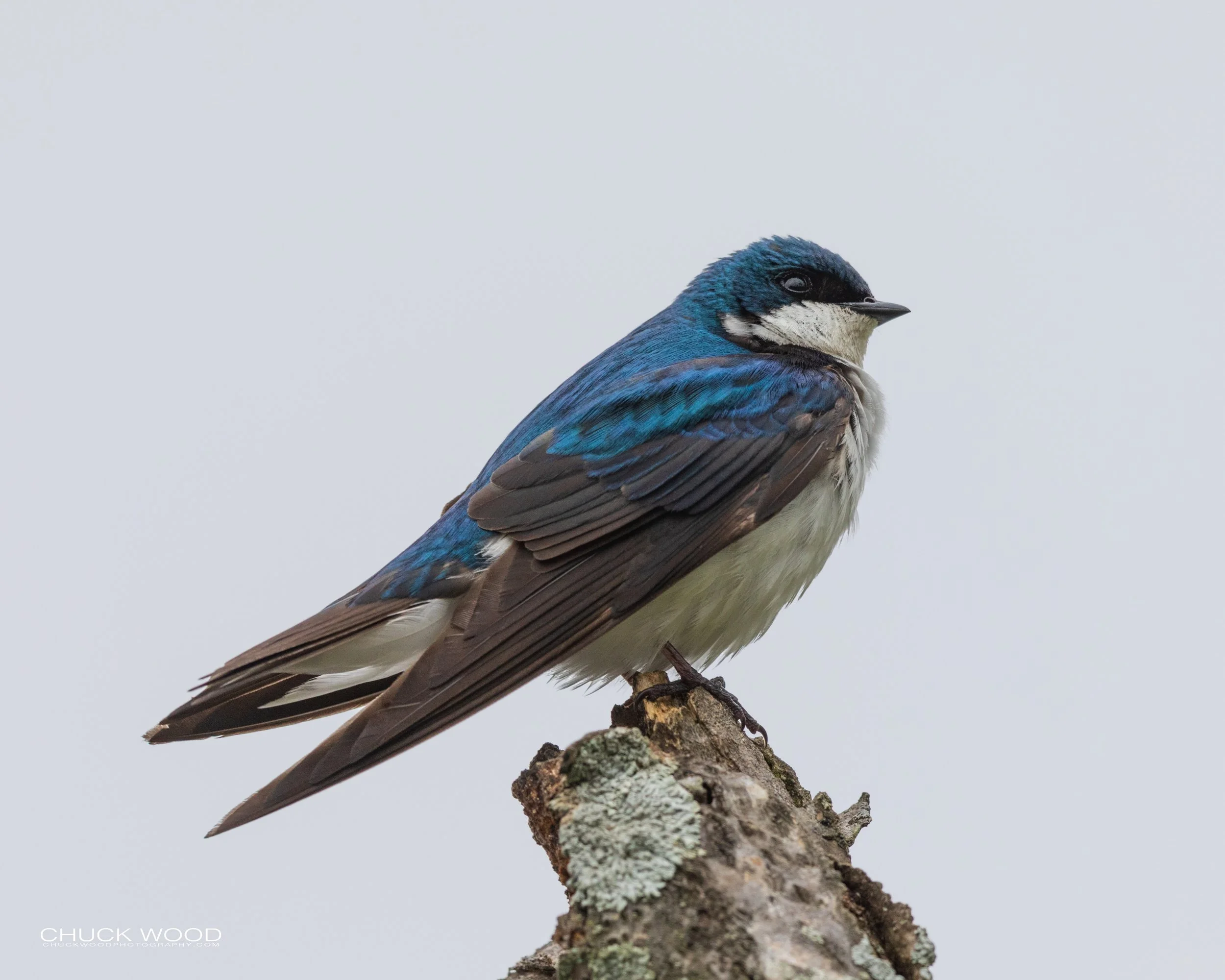  Dekorte Park, NJ 2020 