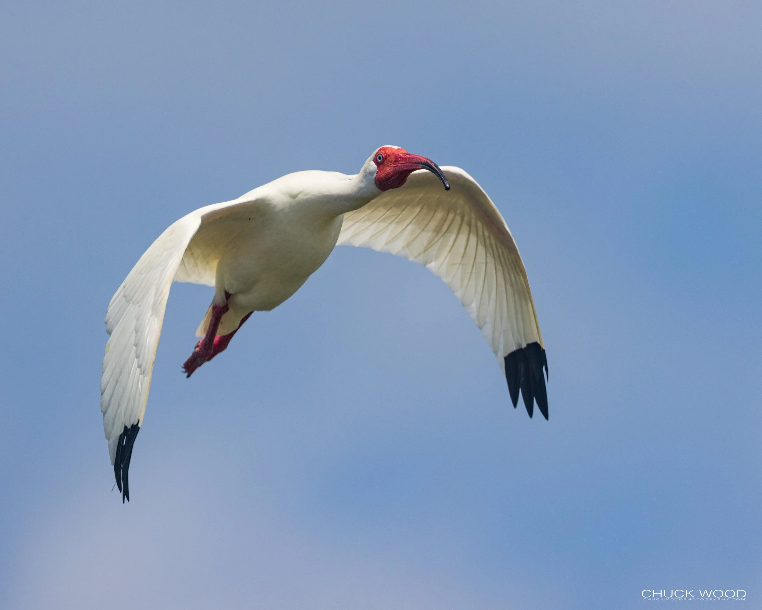 Viera Wetlands, FL 2022 