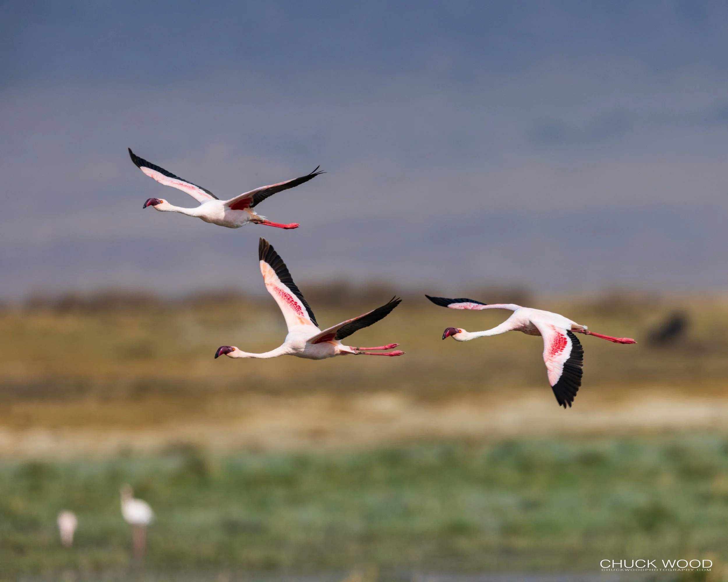  Ngorongoro Crater, Tanzania 2021 