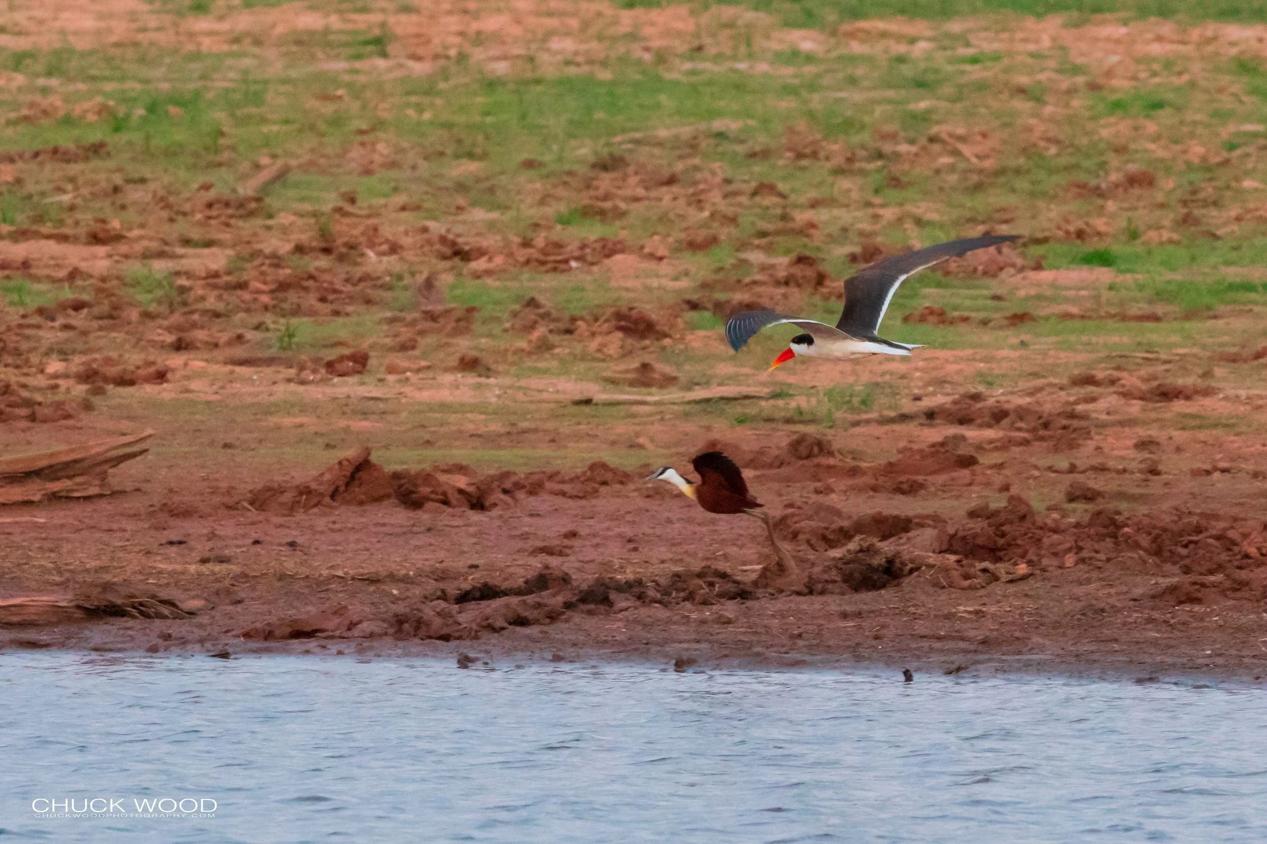  Lake Kariba, Zimbabwe 2019 