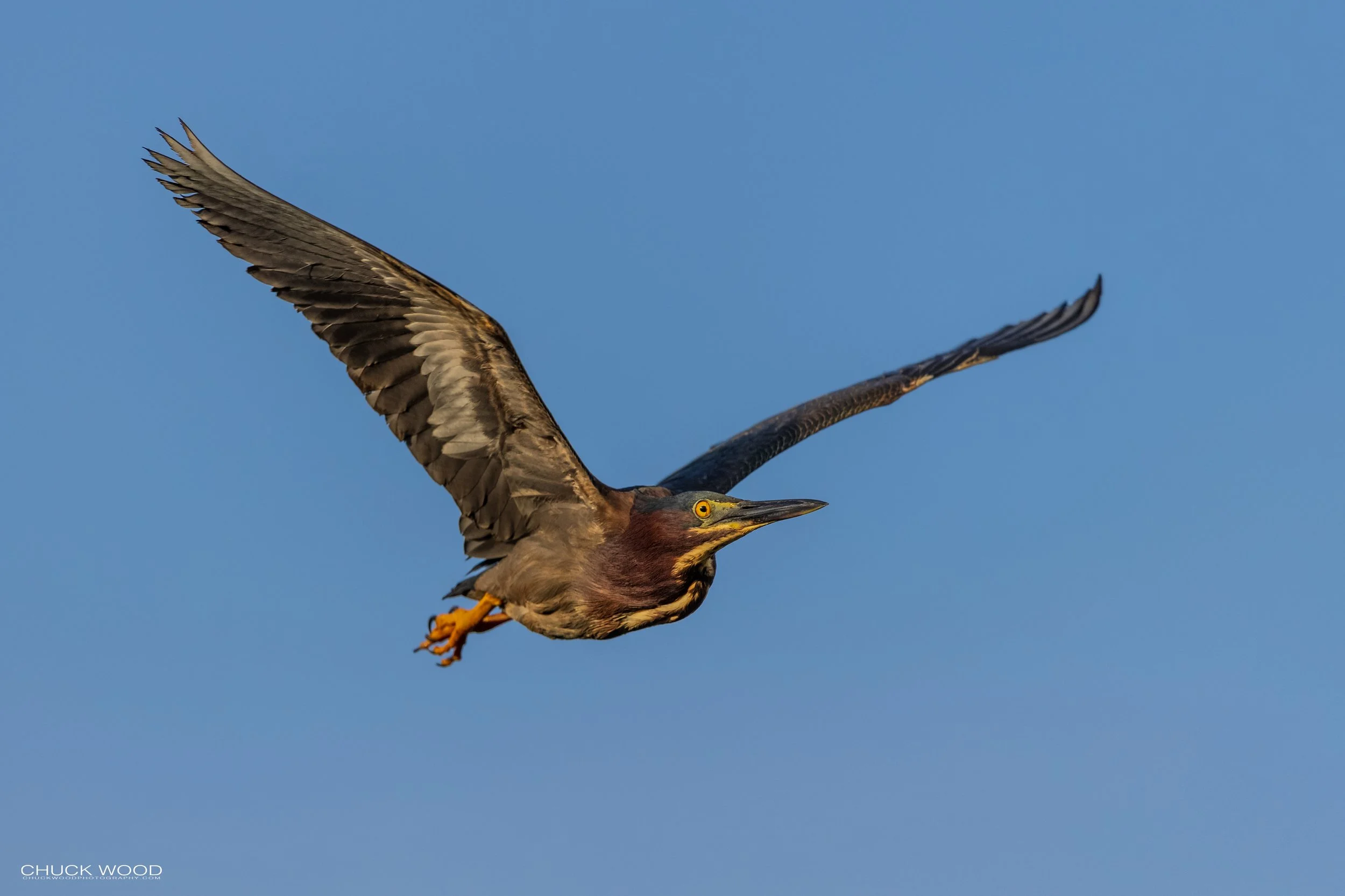  Shark Valley, FL 2021 