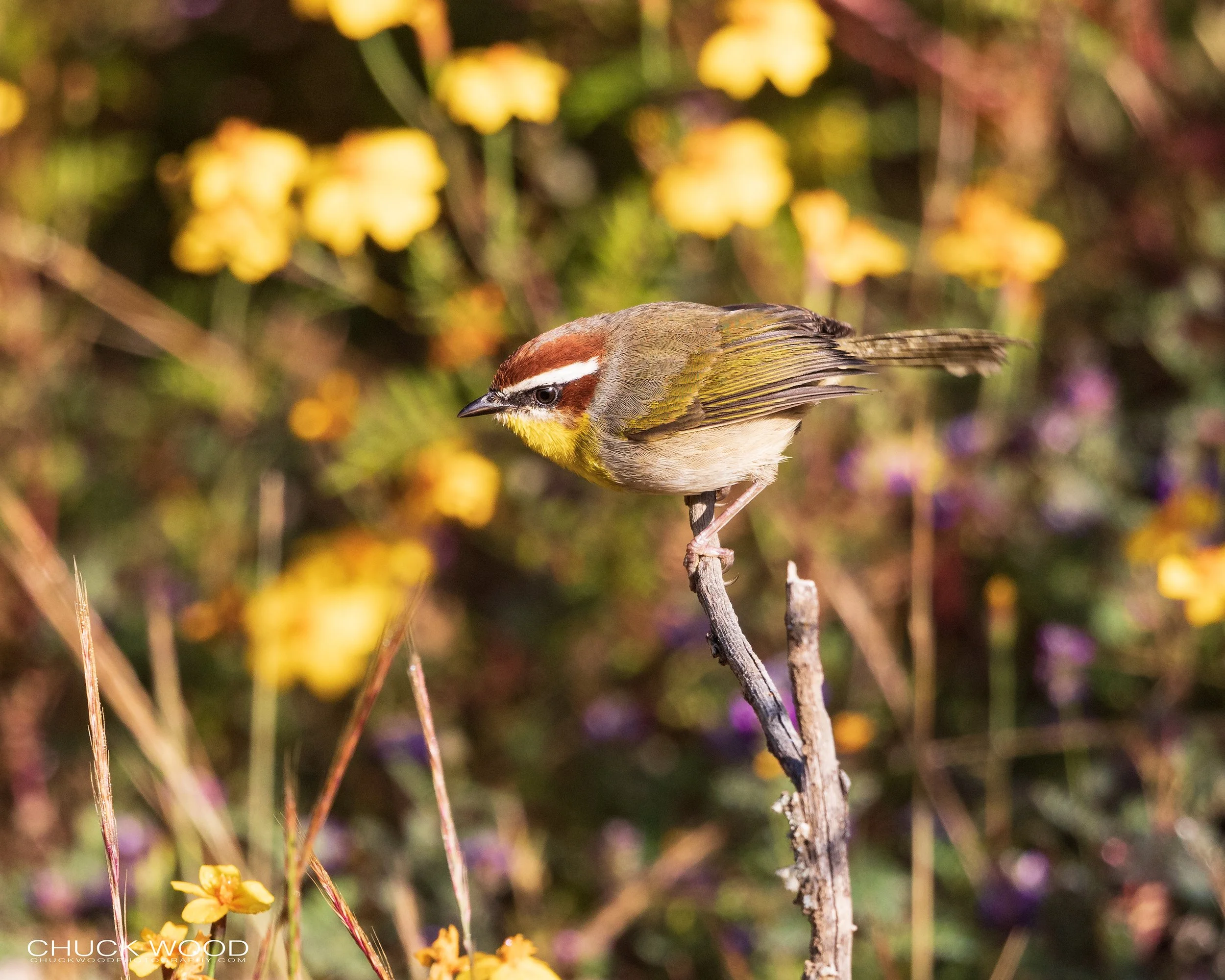  Camino Cuajimoloyas Oaxaca, MX 2022 