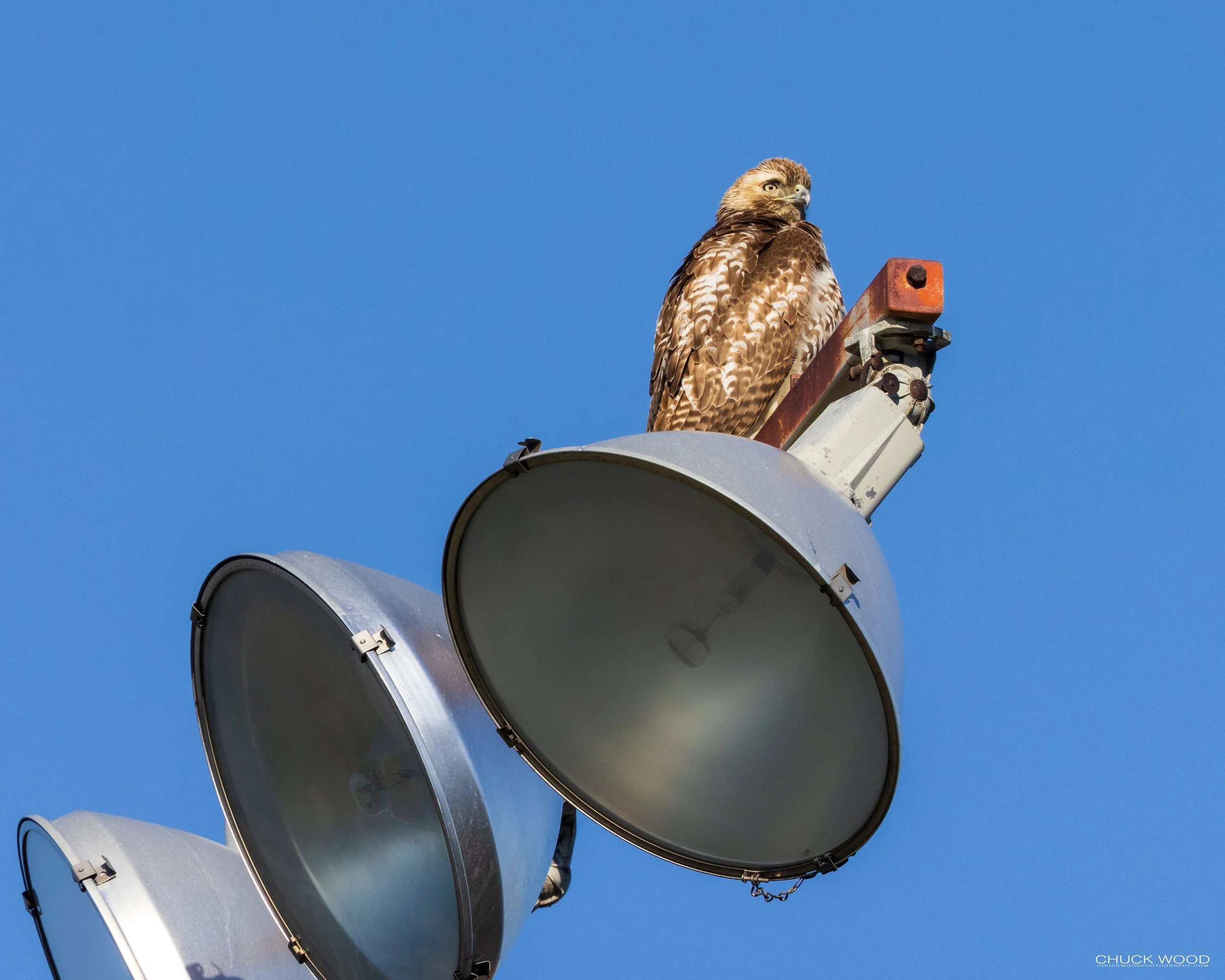  Foschini Park, NJ 2021 